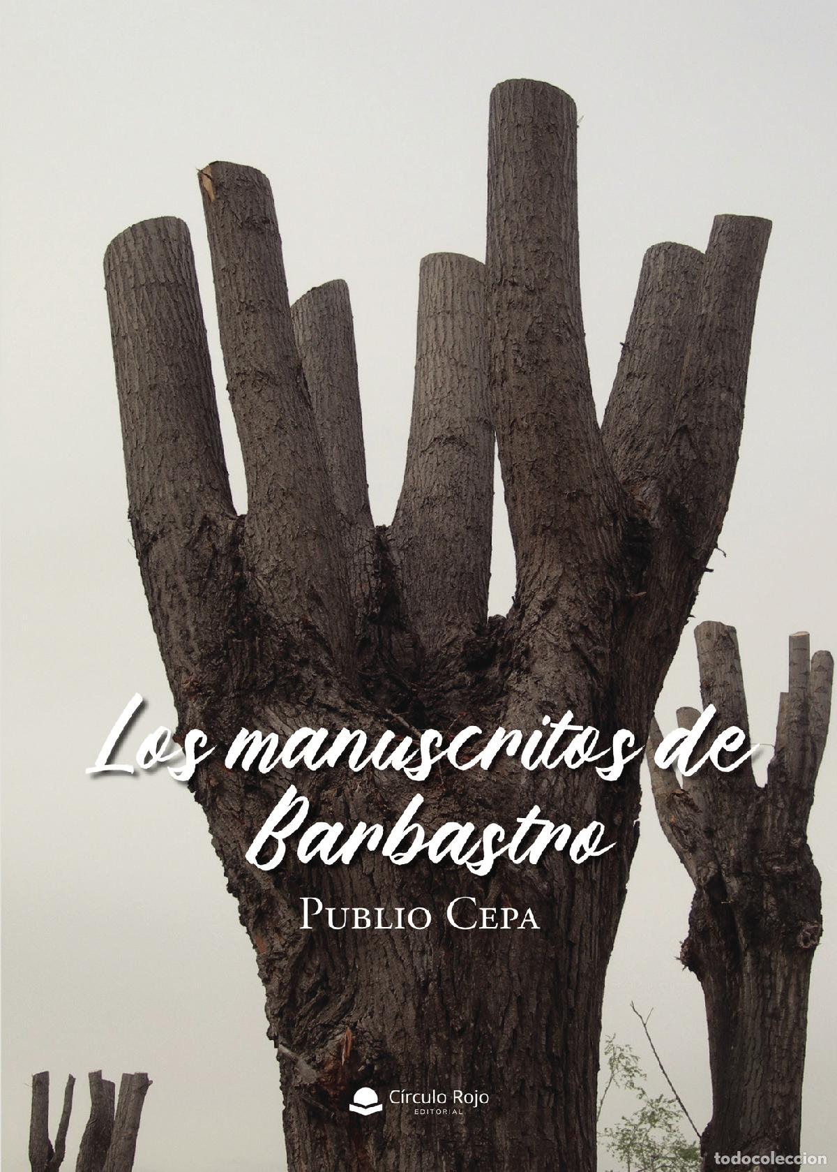 Libros: Los manuscritos de Barbastro - Publio Cepa - Foto 1