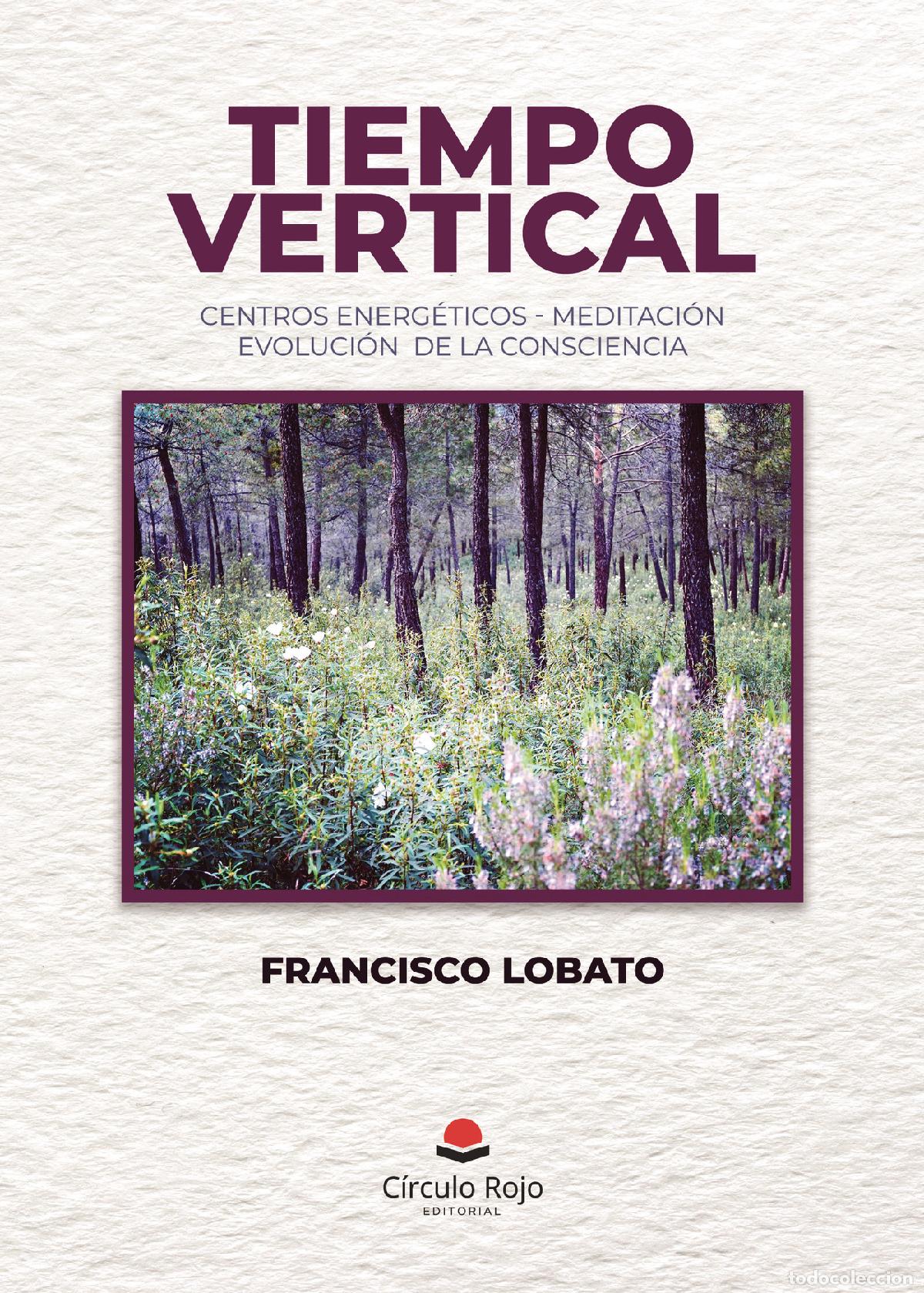 Libros: Tiempo vertical - Francisco Lobato - Foto 1