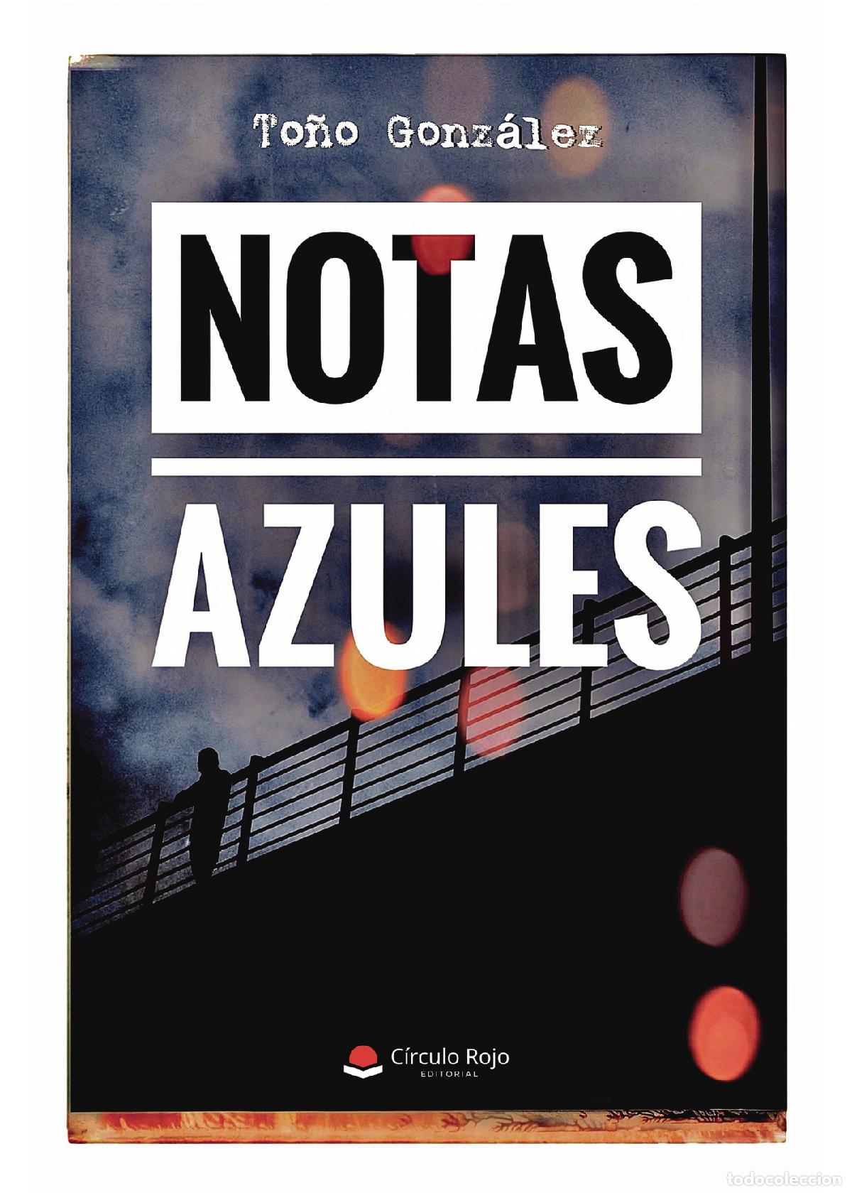 Libros: Notas azules - To&ntilde;o Gonz&aacute;lez - Foto 1