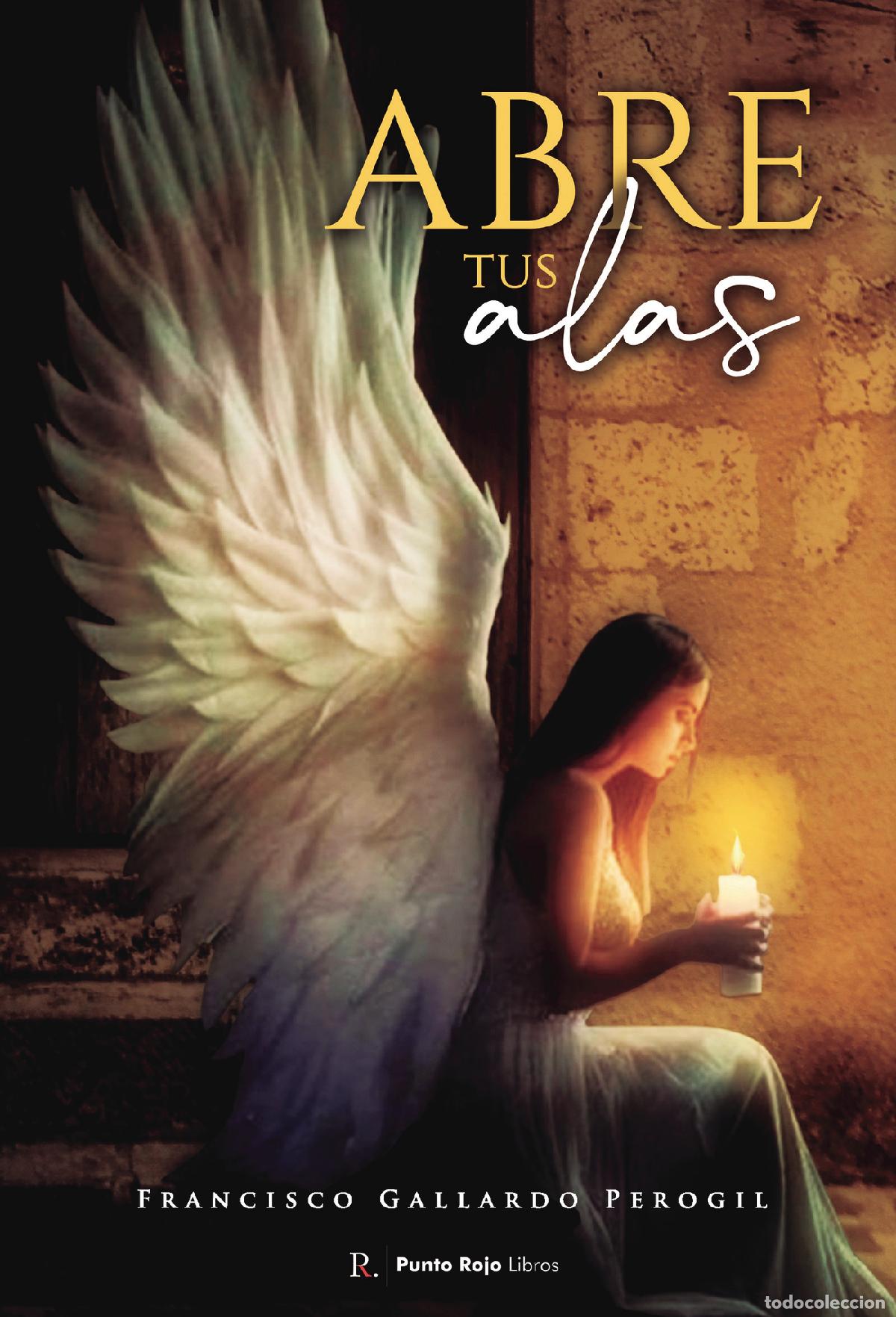 Libros: Abre tus alas - Francisco Gallardo Perogil - Foto 1