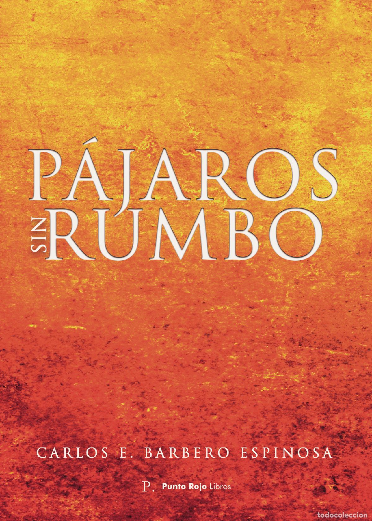 Libros: P&aacute;jaros sin rumbo - Carlos E. Barbero Espinosa - Foto 1