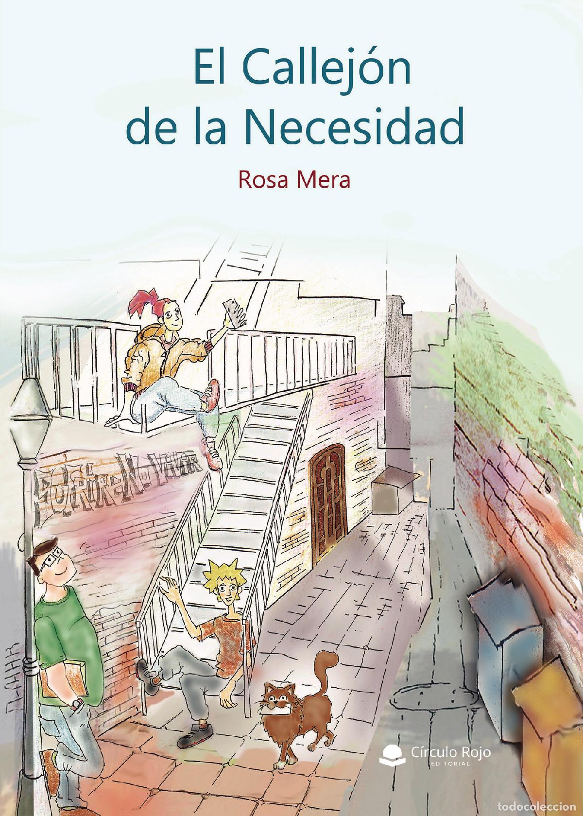 Libros: El callej&oacute;n de la necesidad - Rosa Mera - Foto 1
