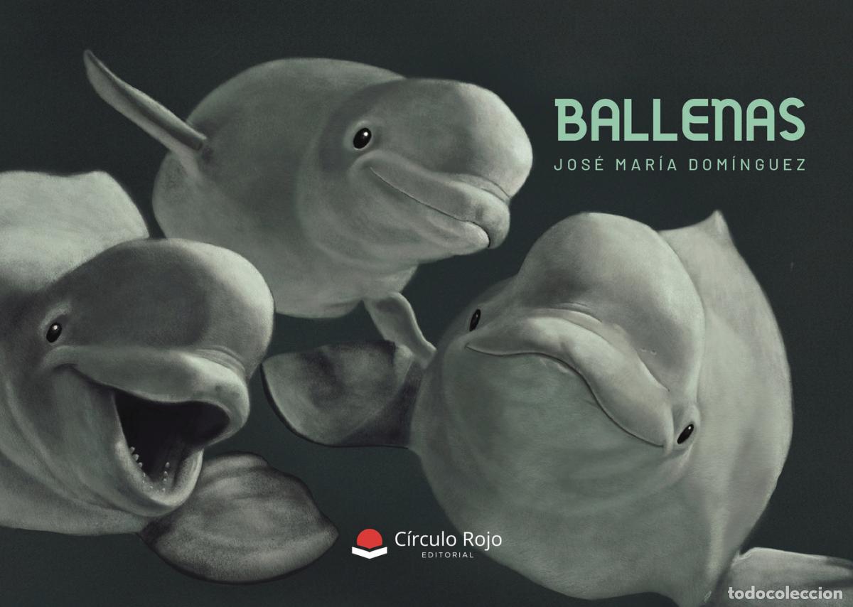 Libros: Ballenas - Jos&eacute; Mar&iacute;a Dom&iacute;nguez - Foto 1