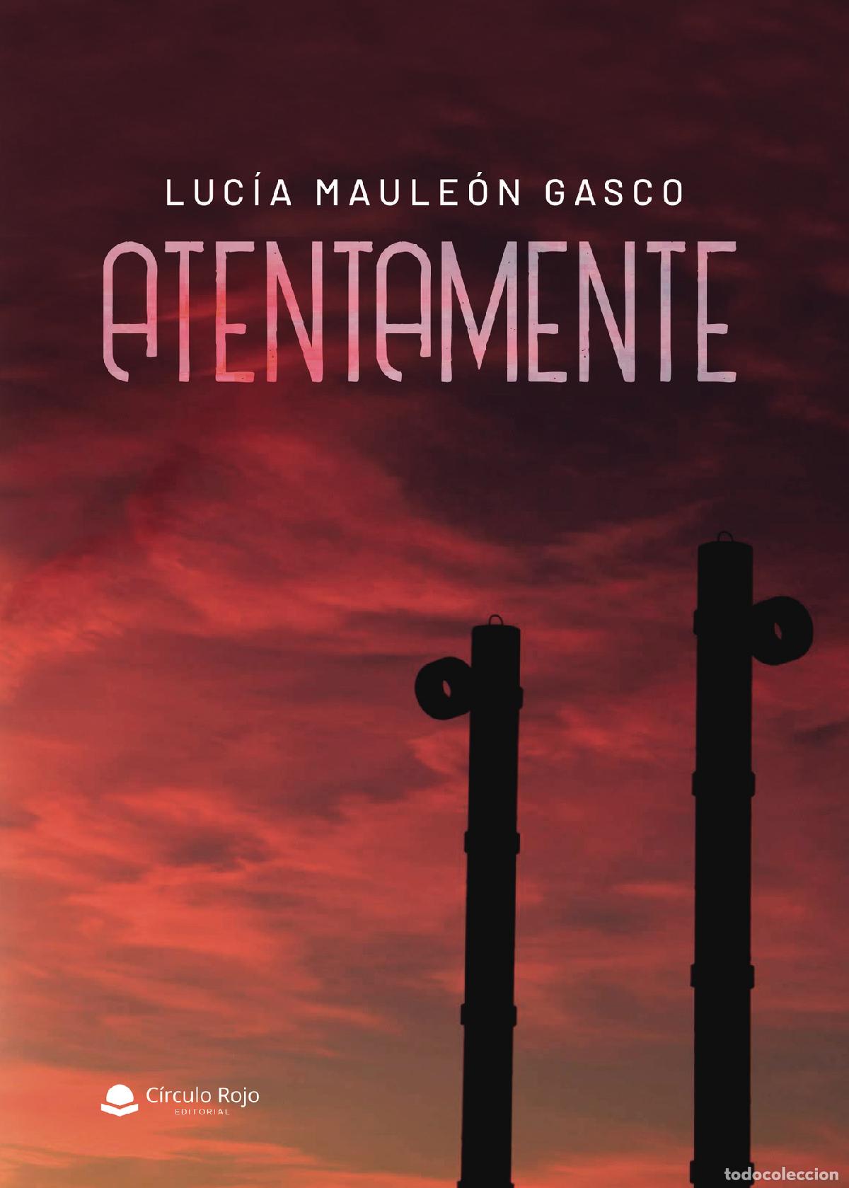 Libros: Atentamente - Luc&iacute;a Maule&oacute;n Gasco - Foto 1