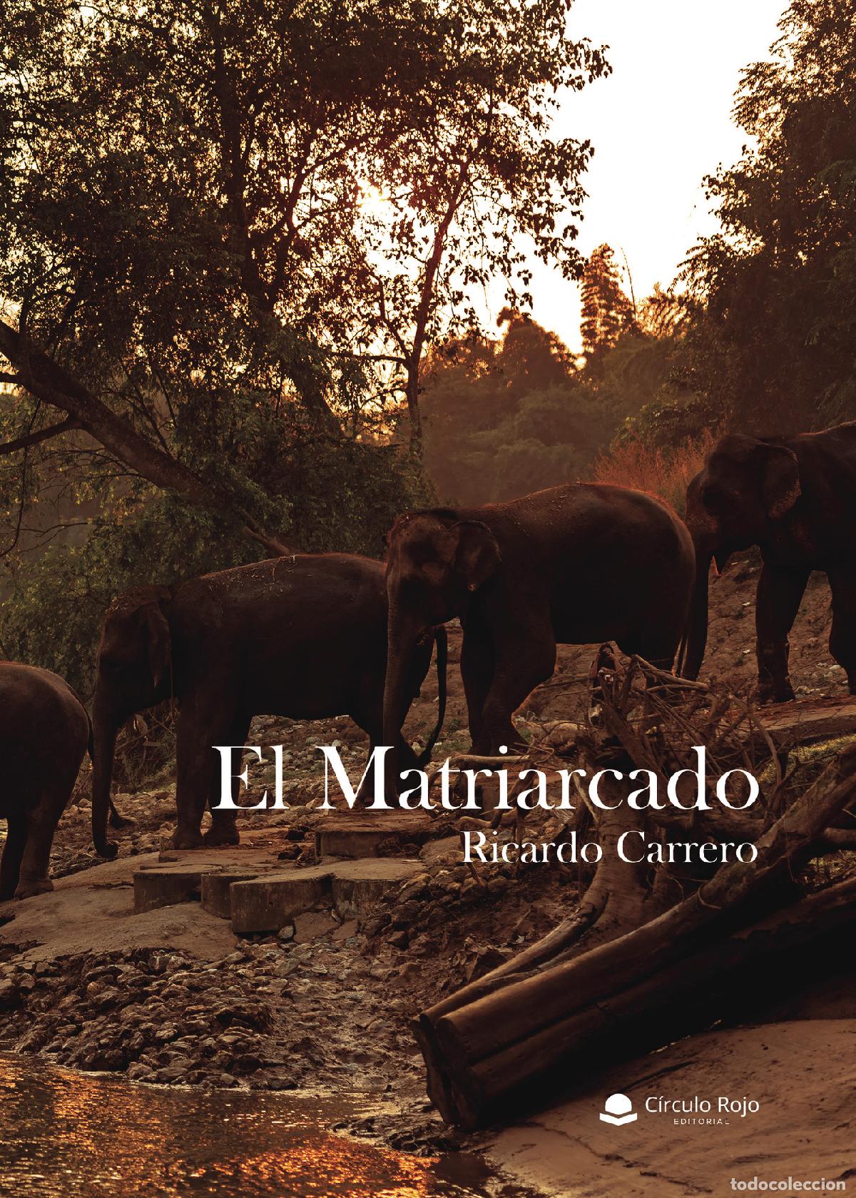 Libros: El Matriarcado - Ricardo Carrero - Foto 1