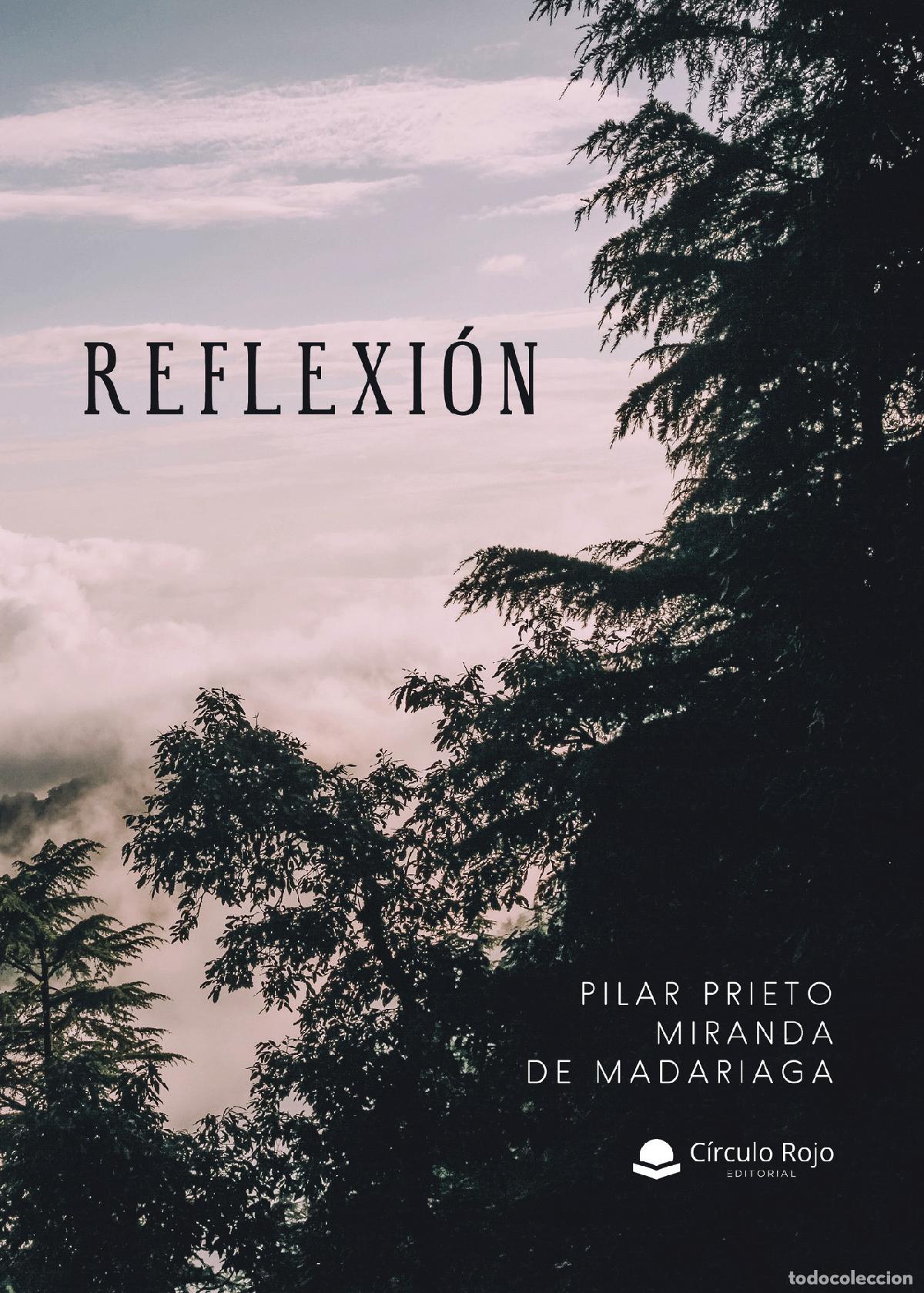 Libros: Reflexi&oacute;n - Pilar Prieto Miranda de Madariaga - Foto 1