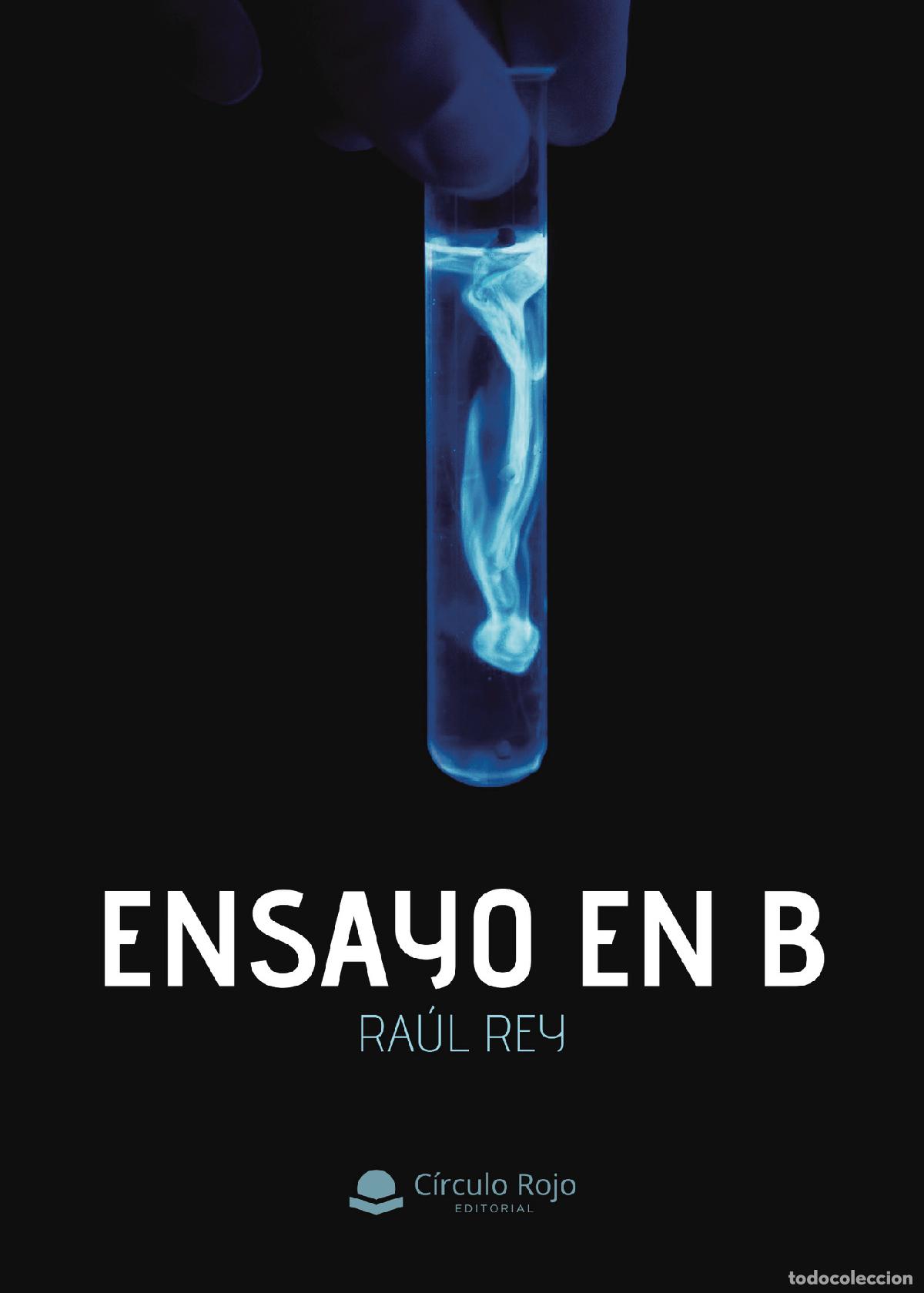 Libros: Ensayo en B - Ra&uacute;l Rey - Foto 1
