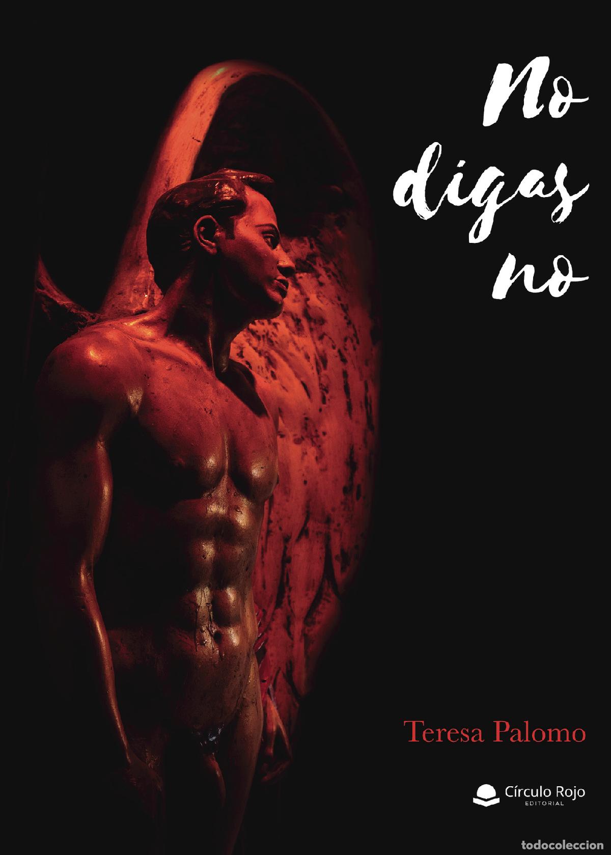 Libri: No digas no - Teresa Palomo