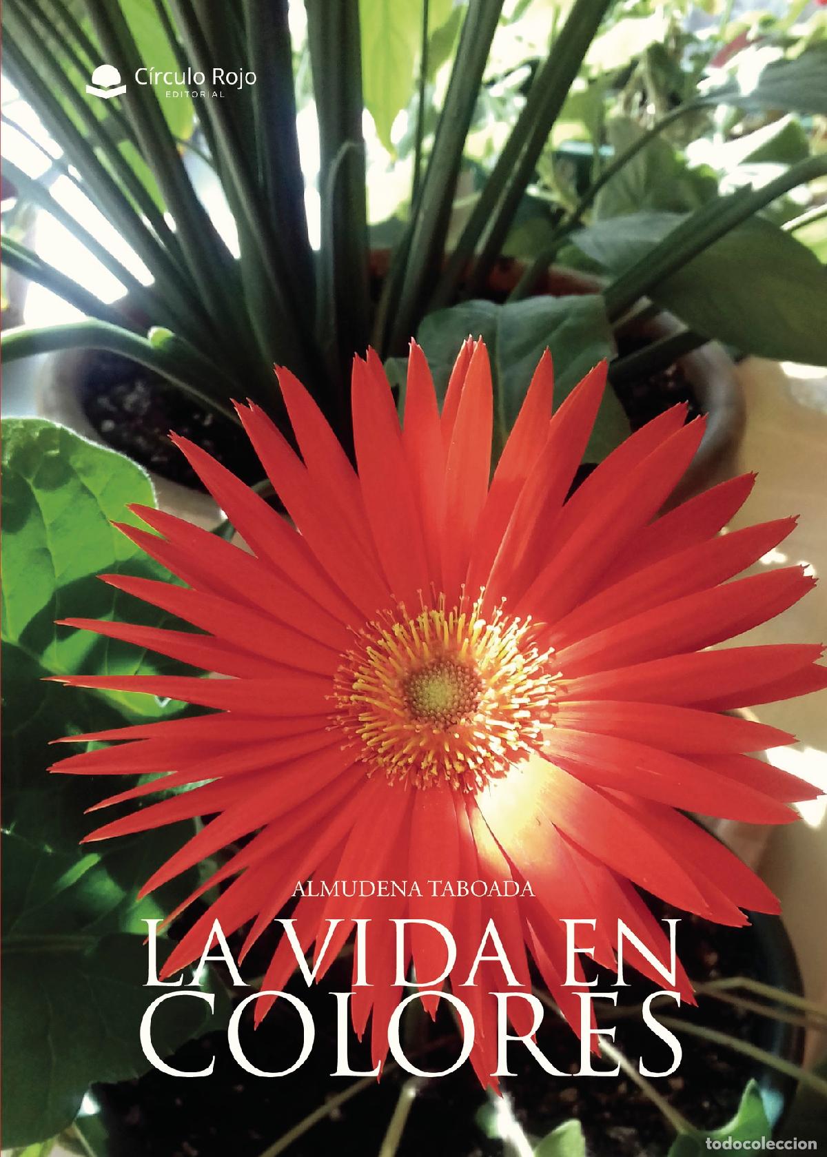 Libros: La Vida En Colores - Almudena Taboada - Foto 1