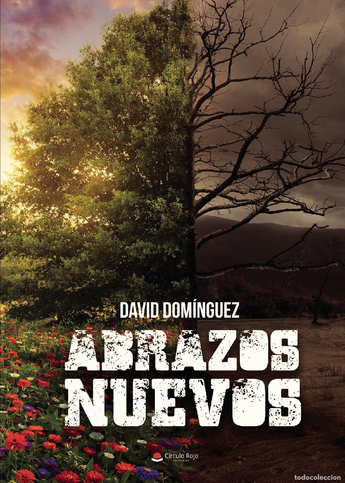 Libros: ABRAZOS NUEVOS - David Dom&iacute;nguez - Foto 1