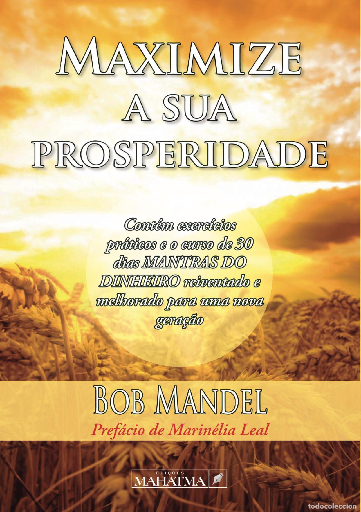 Libros: Maximize a sua prosperidade - Bob Mandel - Foto 1