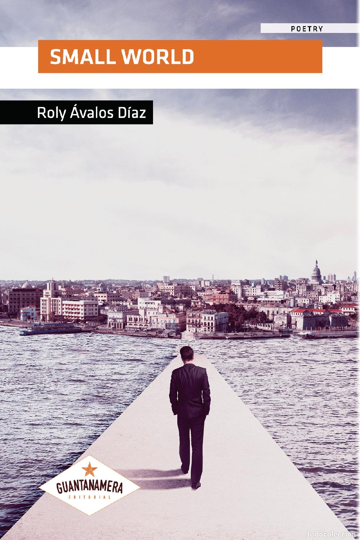 Libros: Small World - Roly &Aacute;valos D&iacute;az - Foto 1