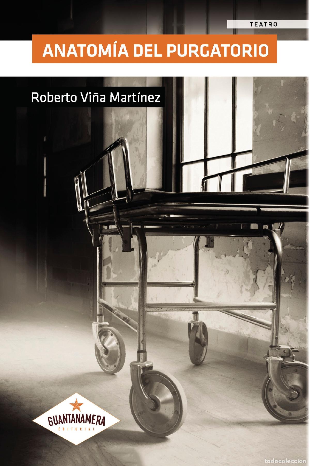 Libros: Anatom&iacute;a del purgatorio - Roberto Vi&ntilde;a Mart&iacute;nez - Foto 1