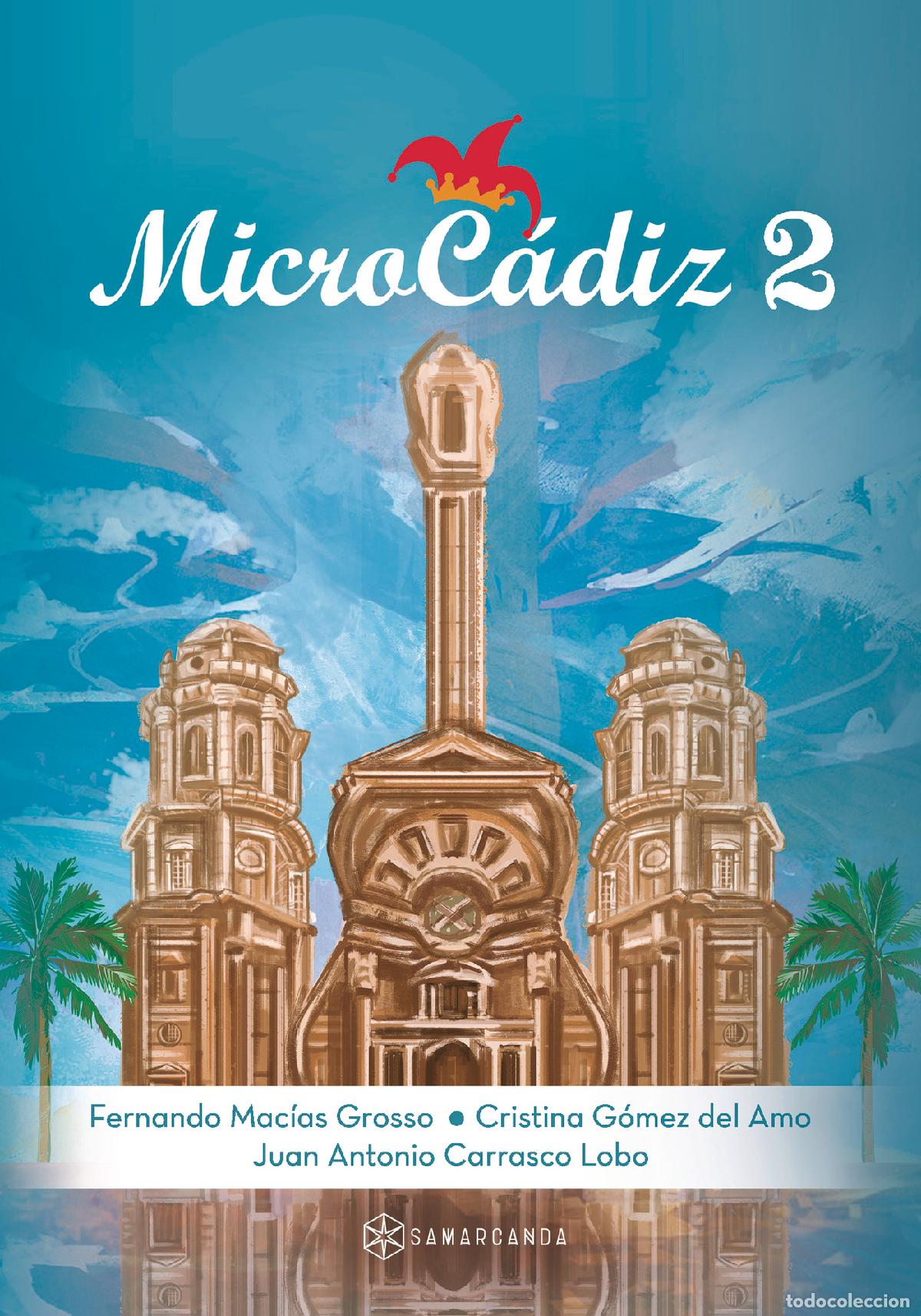 Libros: MicroC&aacute;diz 2 - Fernando Mac&iacute;as Grosso - Foto 1