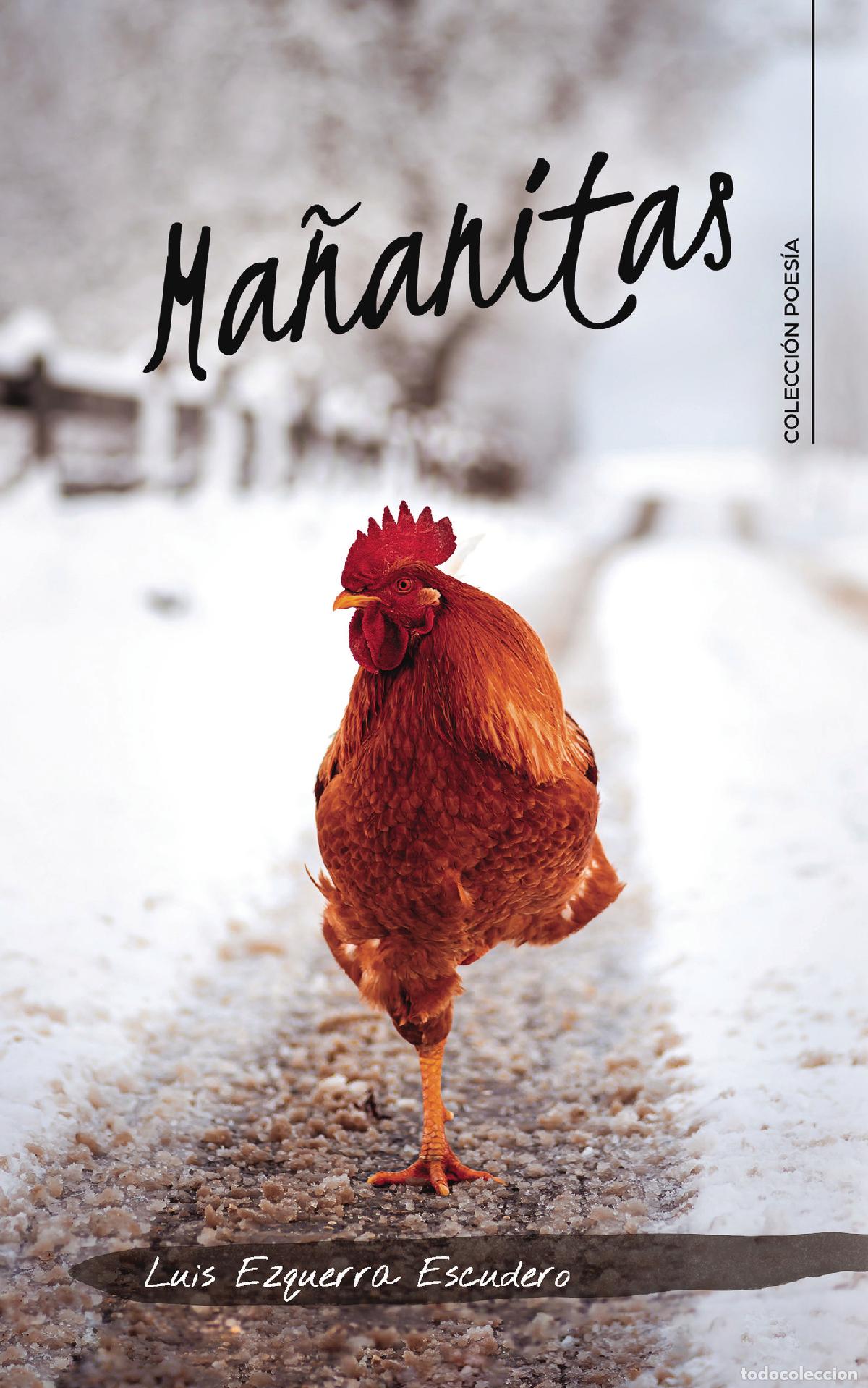 Libros: Ma&ntilde;anitas - Luis Ezquerra Escudero - Foto 1