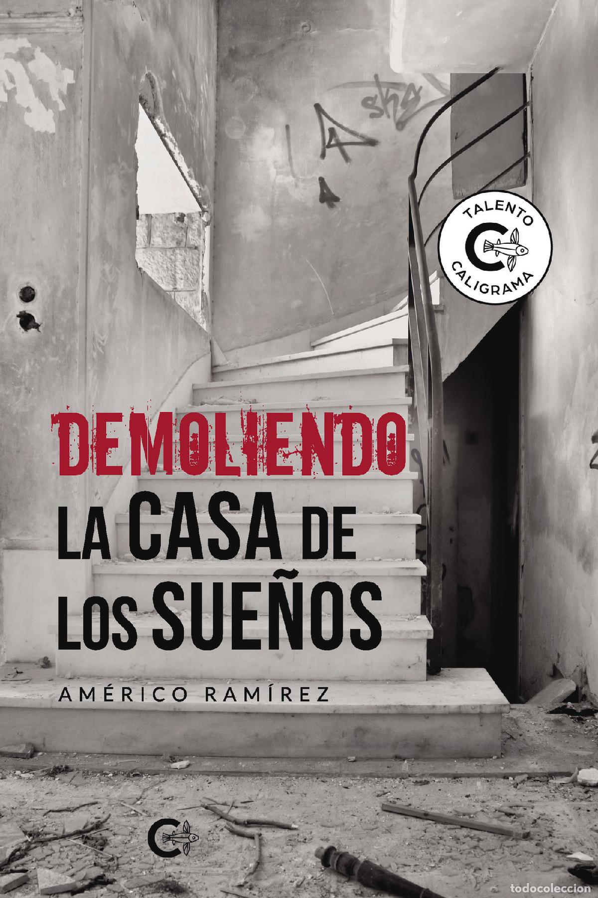 Libros: Demoliendo la casa de los sue&ntilde;os - Am&eacute;rico Ram&iacute;rez - Foto 1