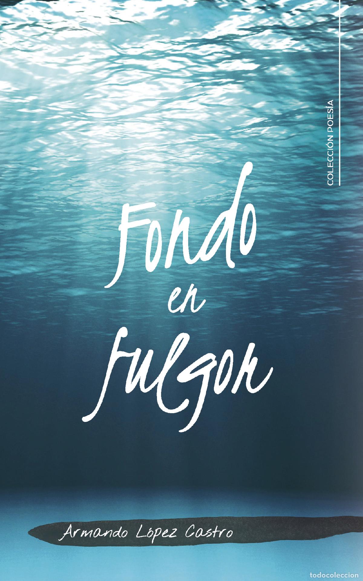 Libros: Fondo en fulgor - Armando L&oacute;pez Castro - Foto 1