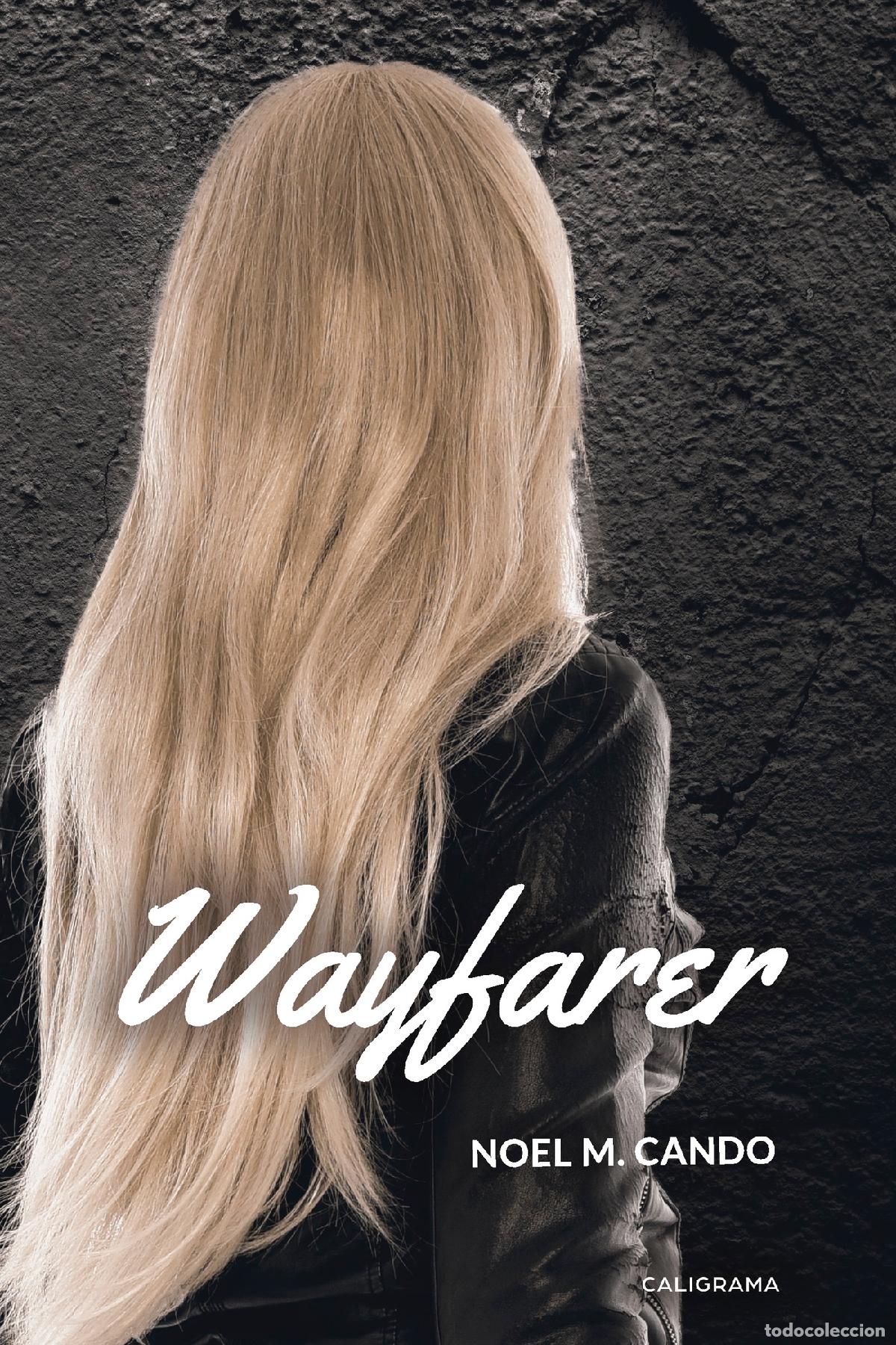Libros: Wayfarer - Noel M. Cando - Foto 1