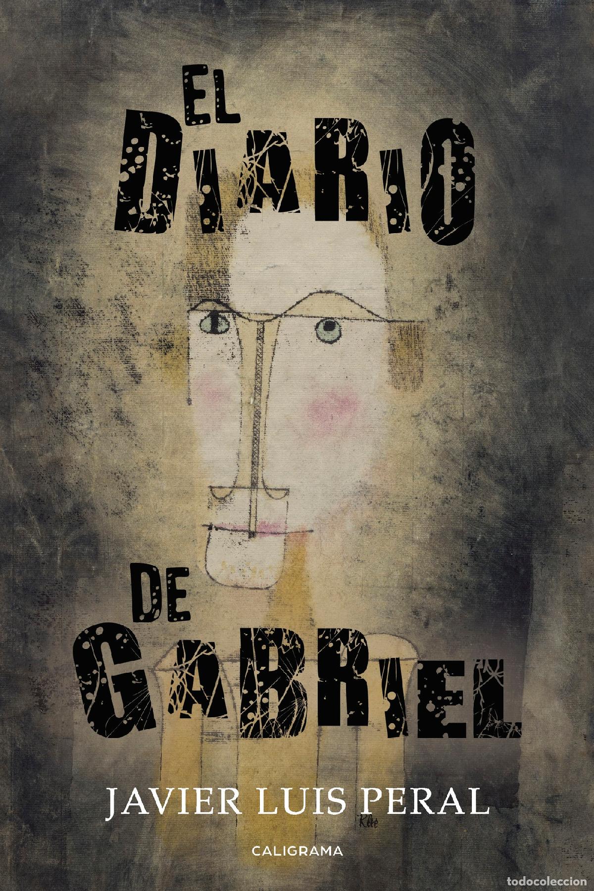 Libros: El diario de Gabriel - Javier Luis Peral - Foto 1
