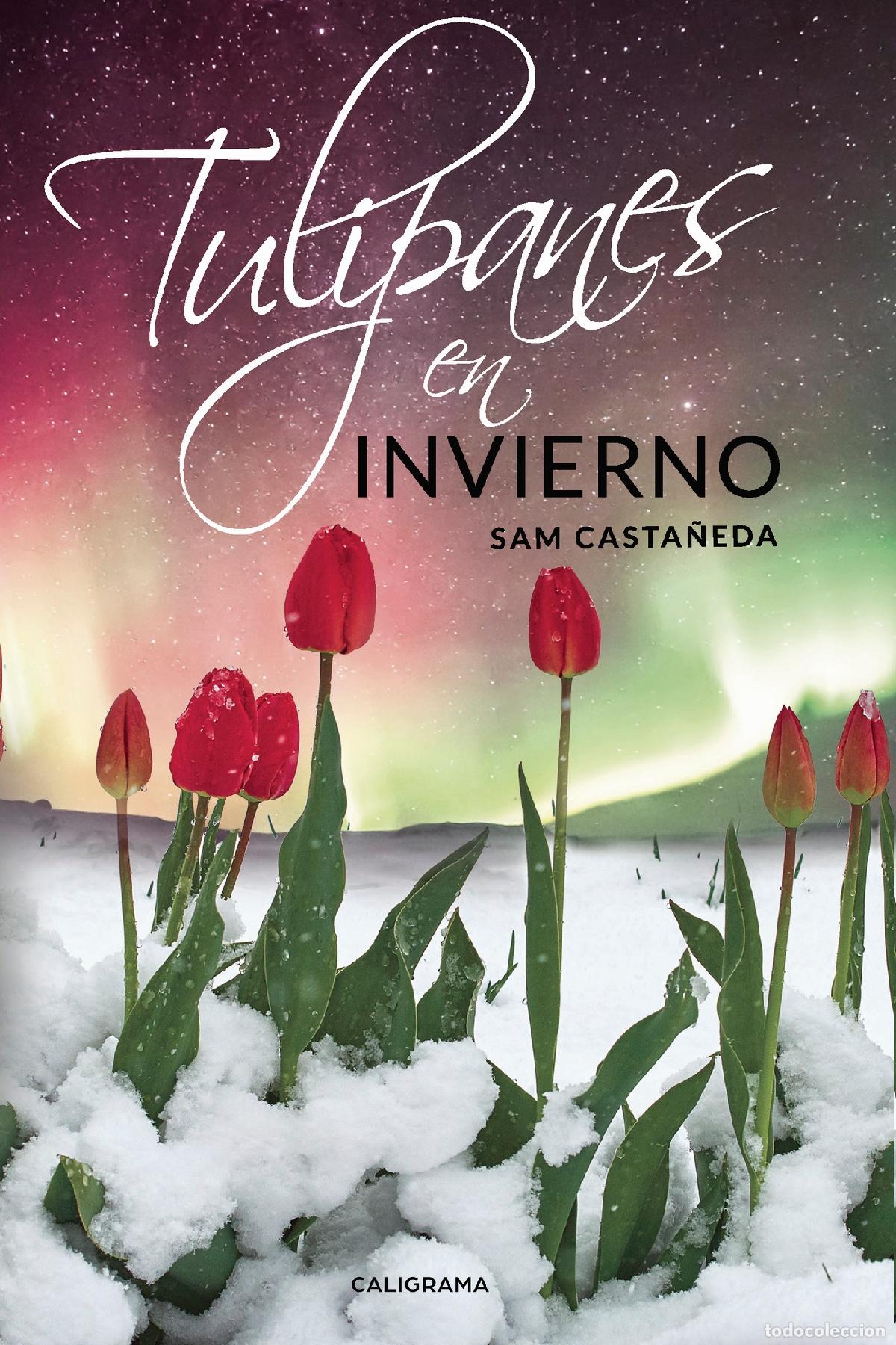 Libros: Tulipanes en invierno - Sam Casta&ntilde;eda - Foto 1