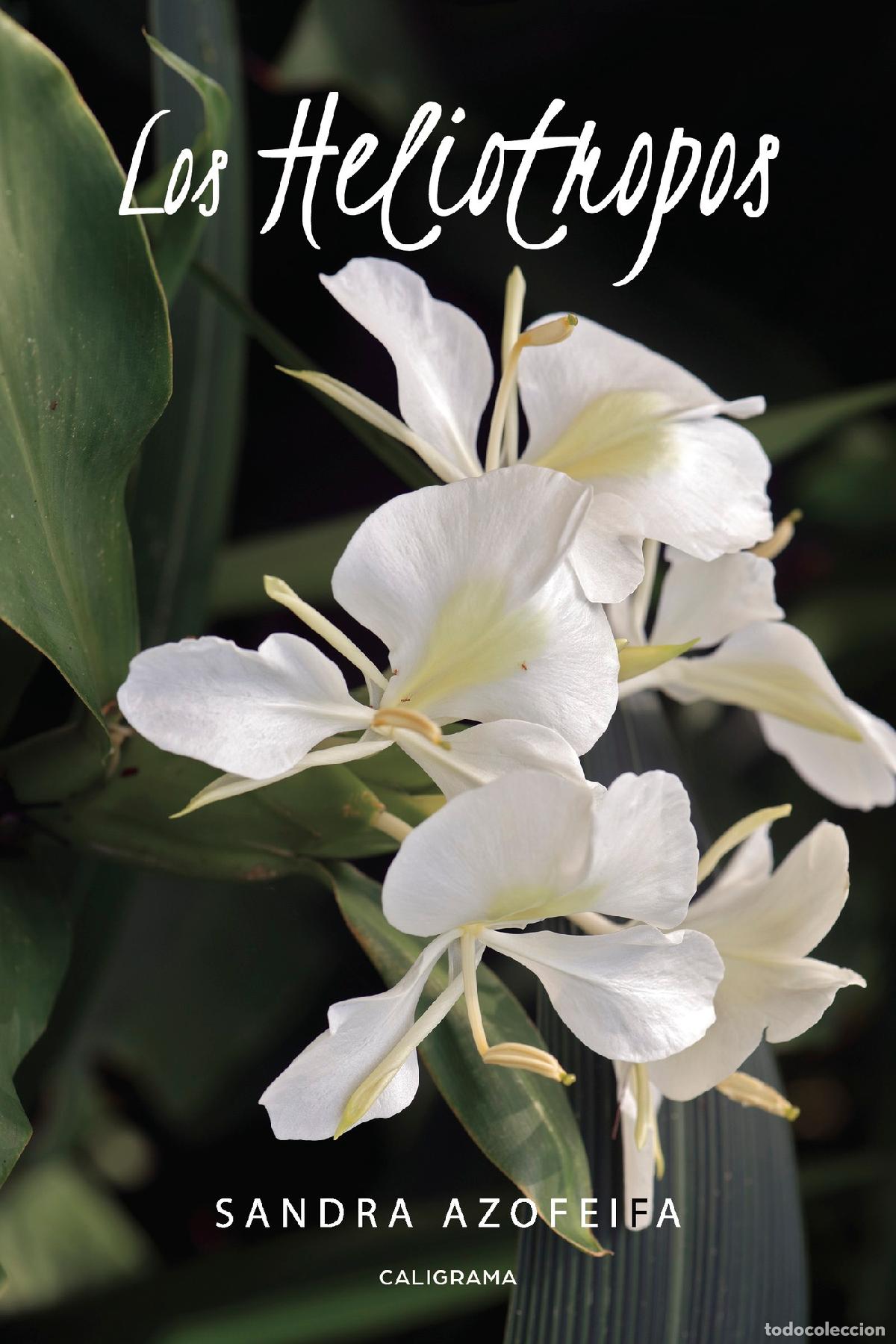 Libros: Los Heliotropos - Sandra Azofeifa - Foto 1