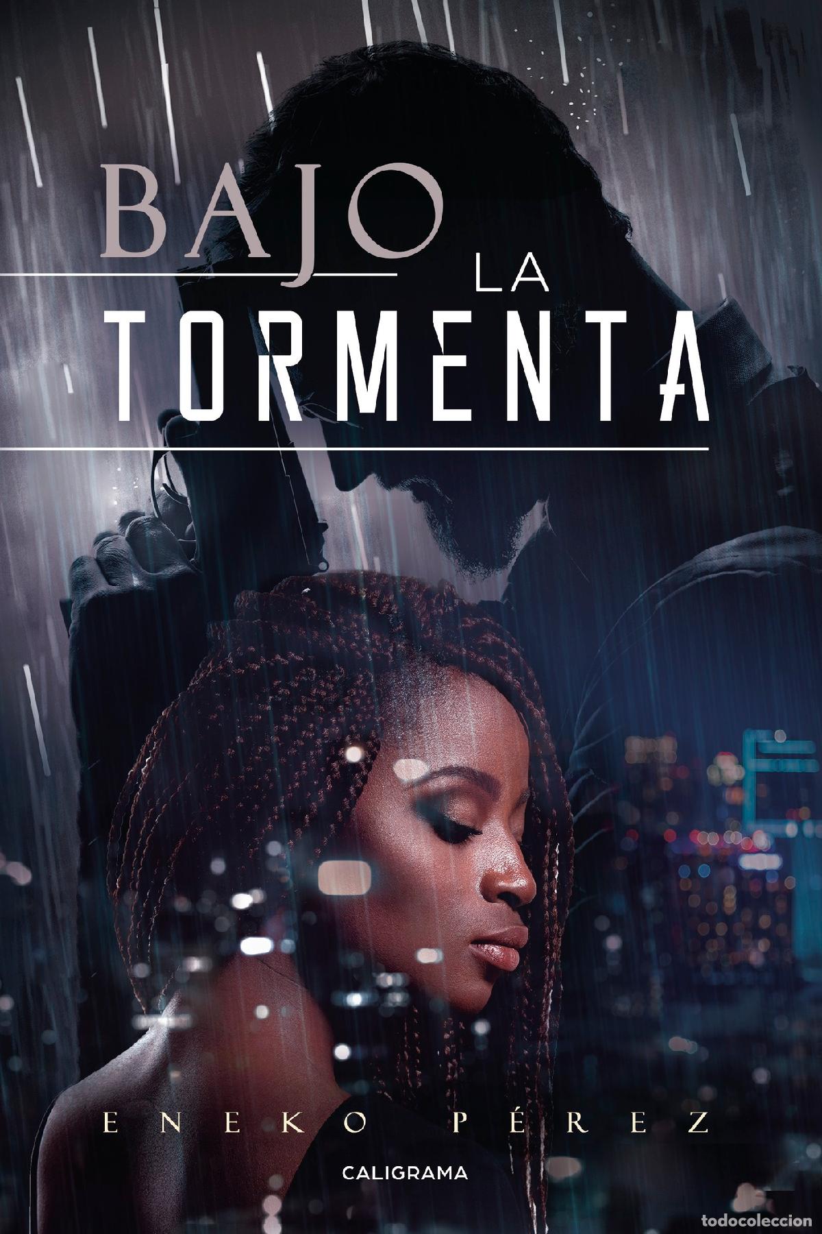 Libros: Bajo la tormenta - Eneko P&eacute;rez - Foto 1
