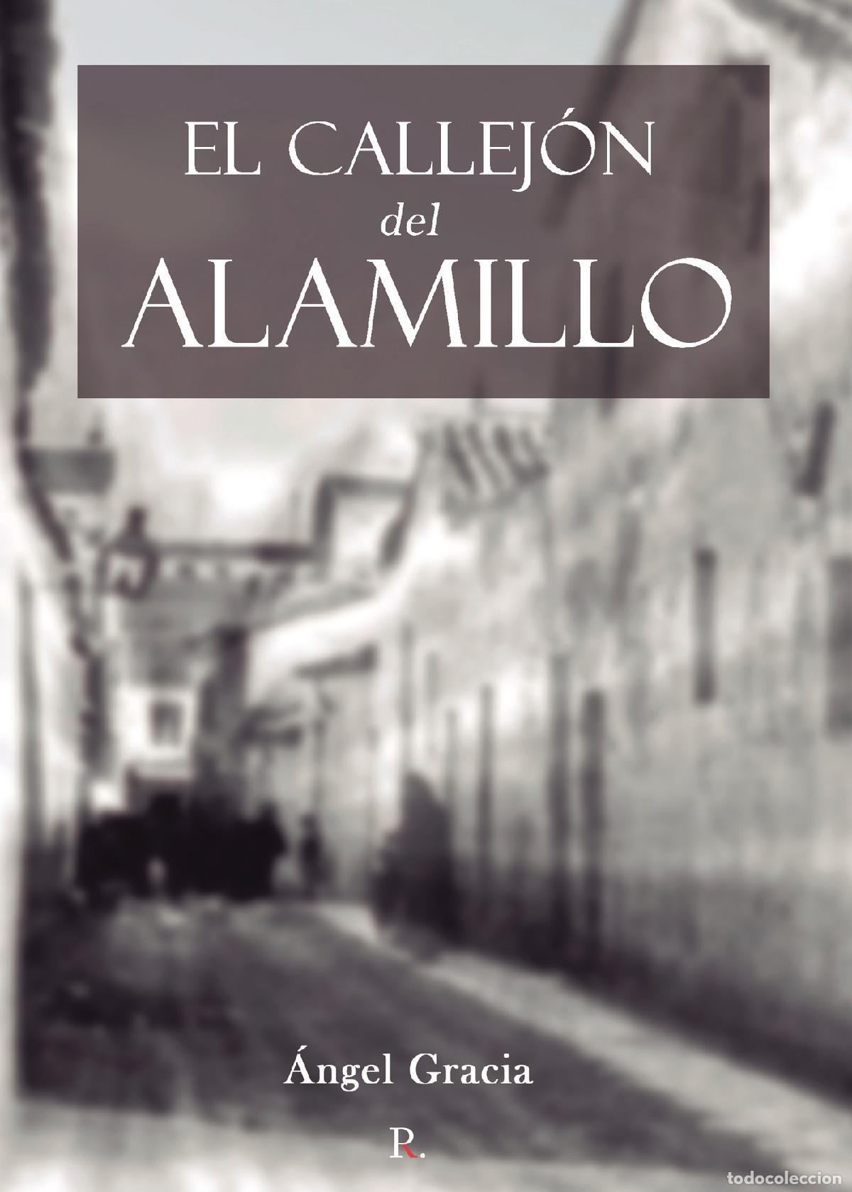 Libros: El callej&oacute;n del Alamillo - &Aacute;ngel Gracia - Foto 1