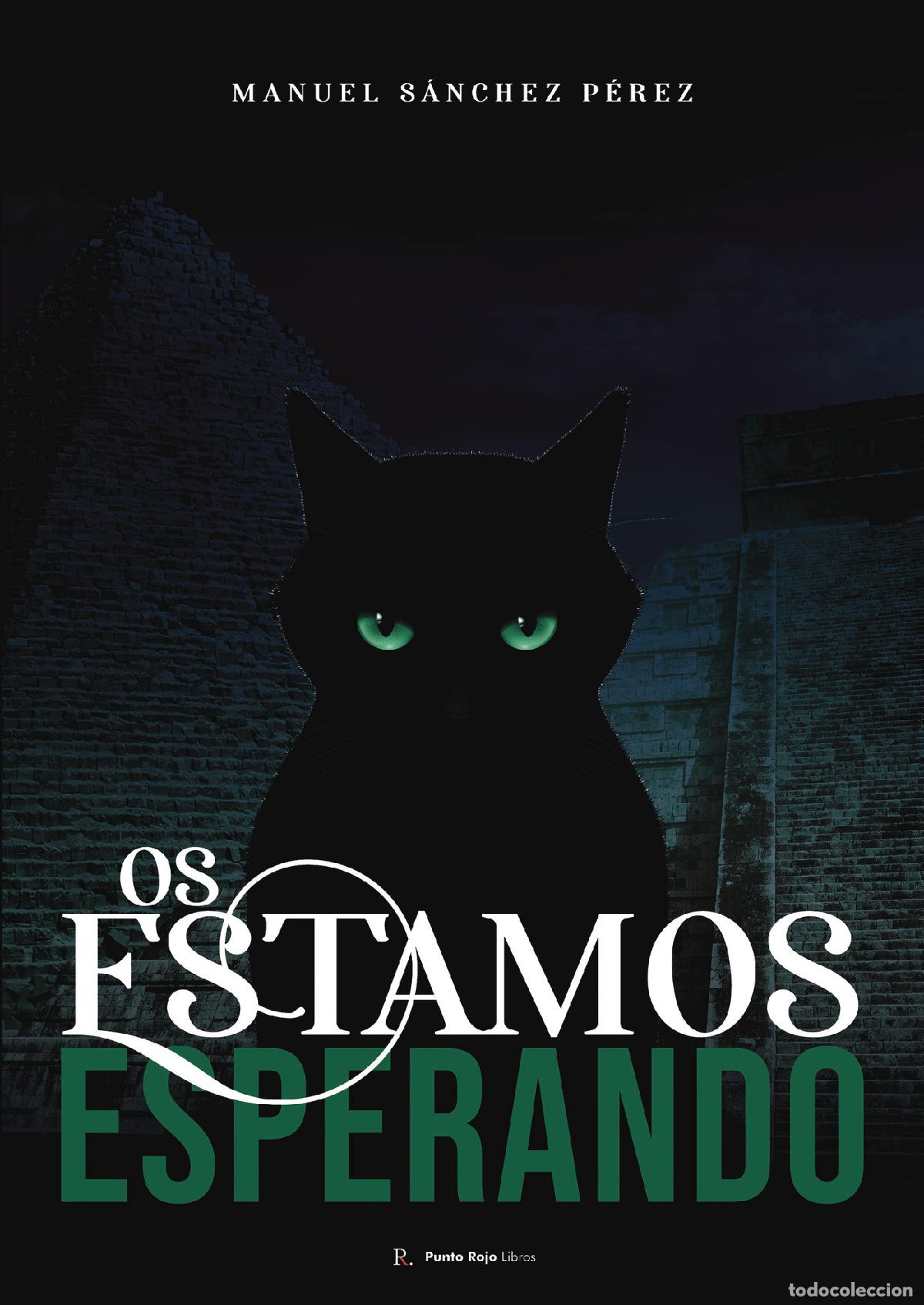 Libros: Os estamos esperando - Manuel S&aacute;nchez P&eacute;rez - Foto 1