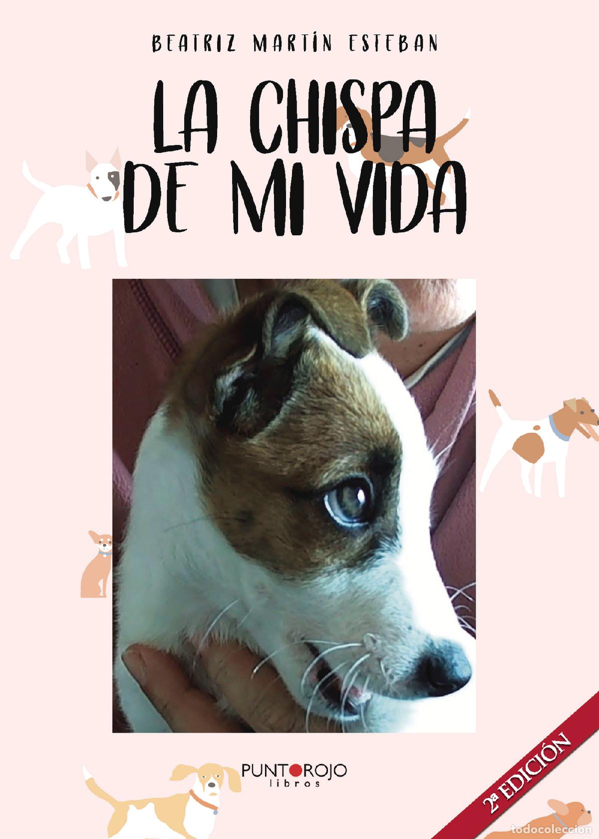 Libros: LA CHISPA DE MI VIDA - Beatriz Mart&iacute;n Esteban - Foto 1