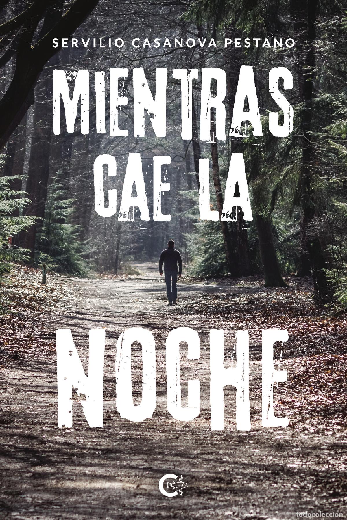 Libros: Mientras cae la noche - SERVILIO CASANOVA PESTANO - Foto 1