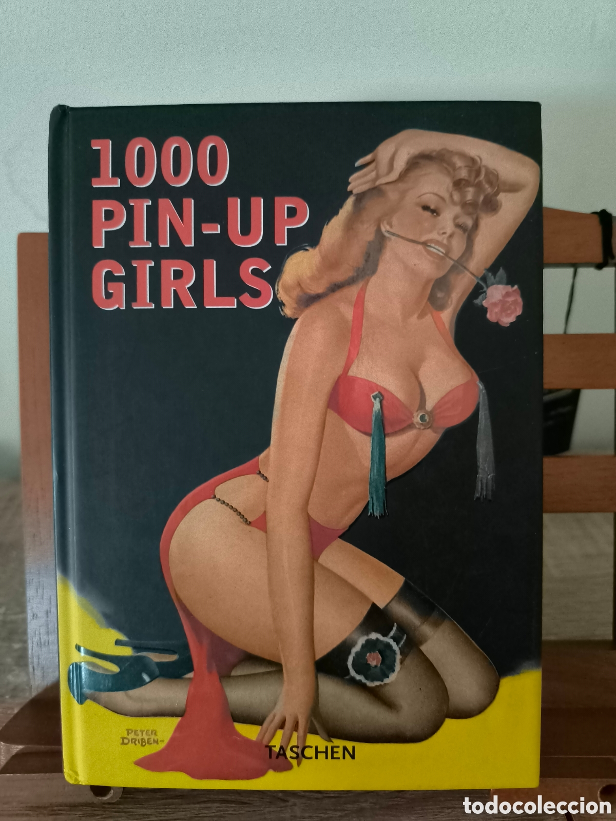 Libros: Libro Taschen 1000 pin-up girls