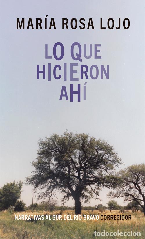 Libri: Lo que hicieron ah&iacute; - Mar&iacute;a Rosa Lojo