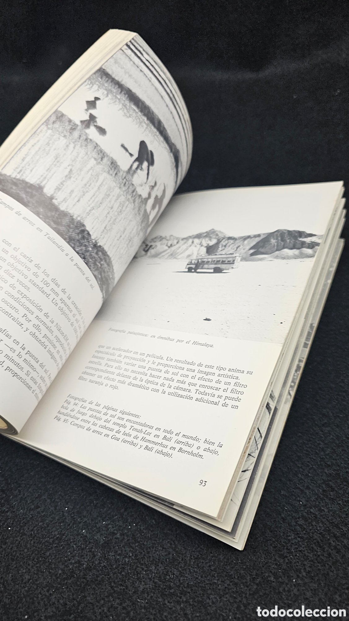 Libros: Libro de fotograf&iacute;a 1981 - Foto 6