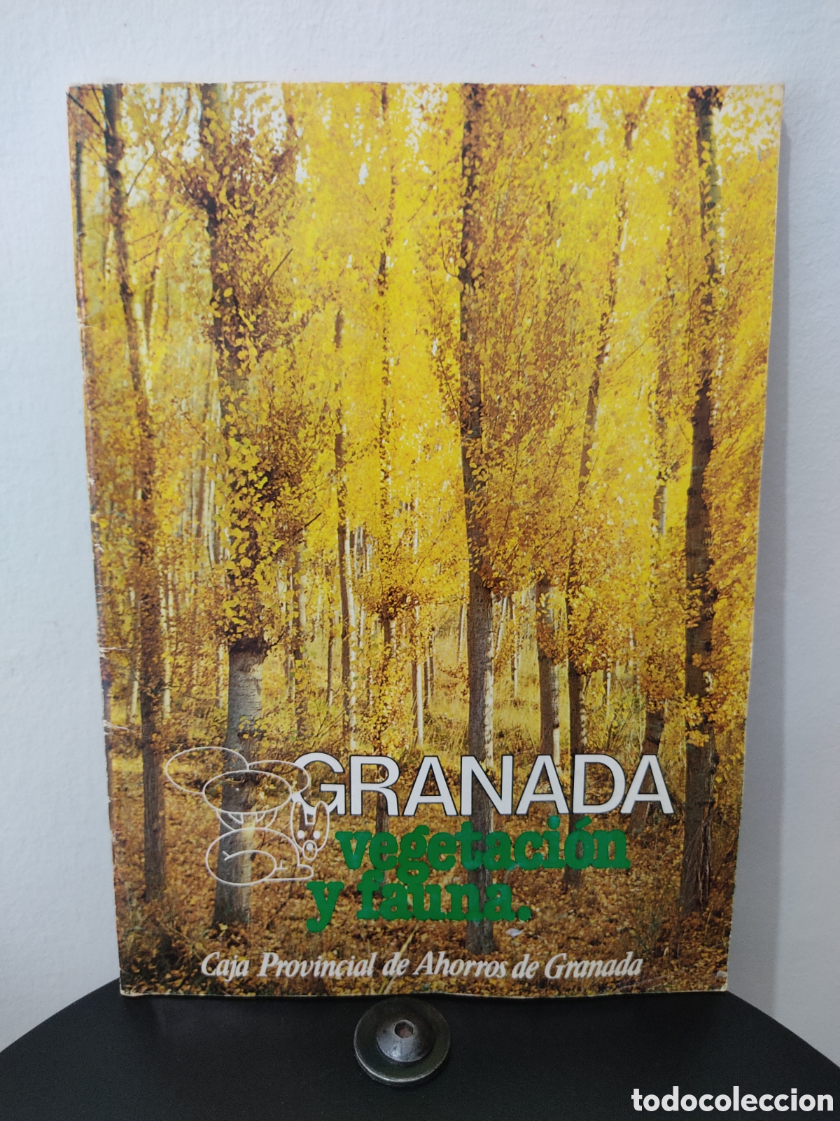 Libros: &Aacute;lbum Vintage Titulado Granada