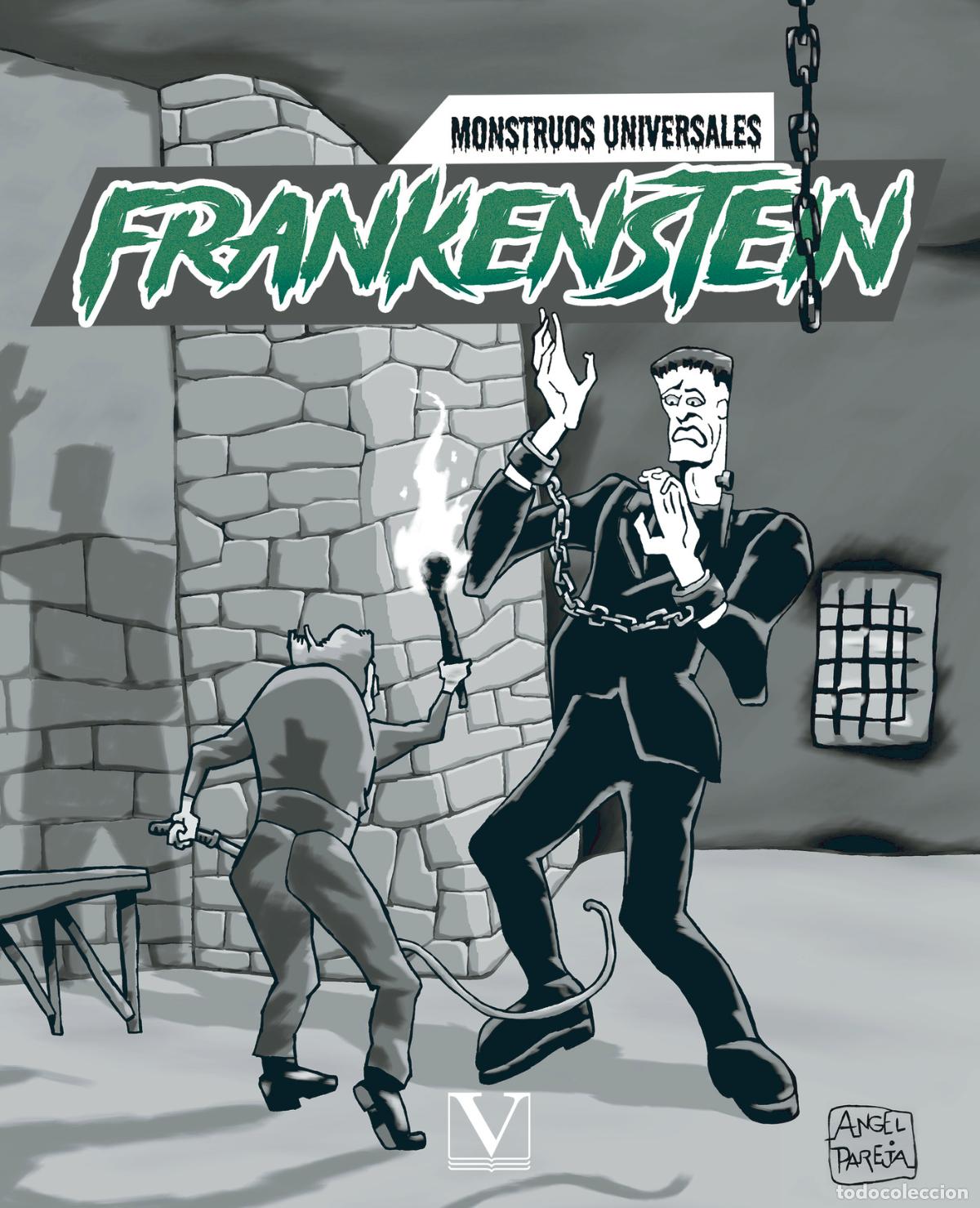 Libros: Frankenstein (c&oacute;mic) - &Aacute;ngel Pareja - Foto 1
