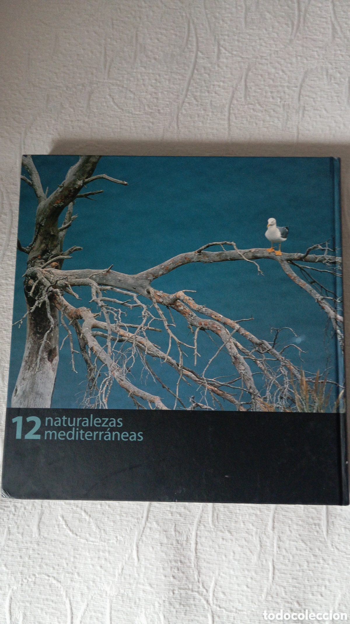 Libros: 4 Libros Colecci&oacute;n Bancaja - Foto 4