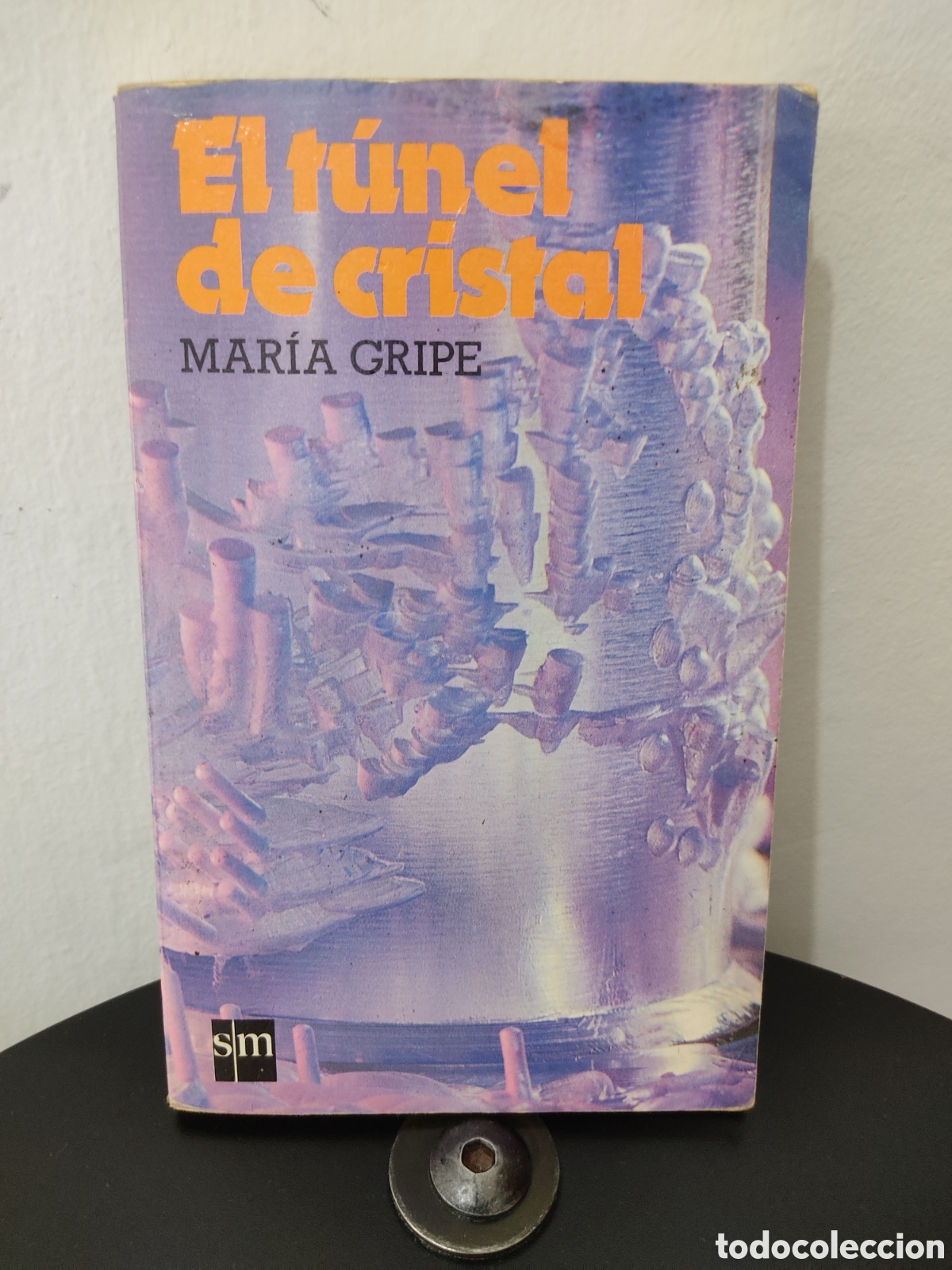 Libros: Novela Juvenil Titulada El T&uacute;nel de Cristal de Mar&iacute;a Gripe