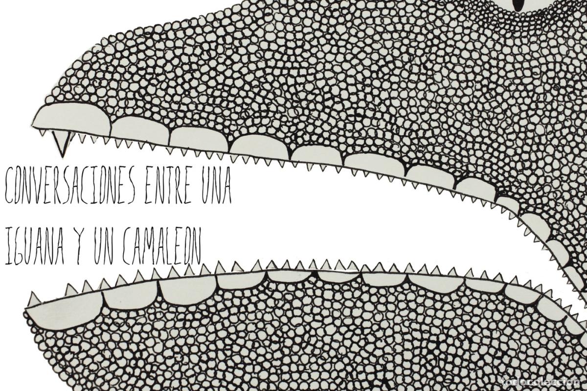 Livros: Conversaciones entre una iguana y un camale&oacute;n - Mar&iacute;a Ximena Cort&aacute;zar Triana