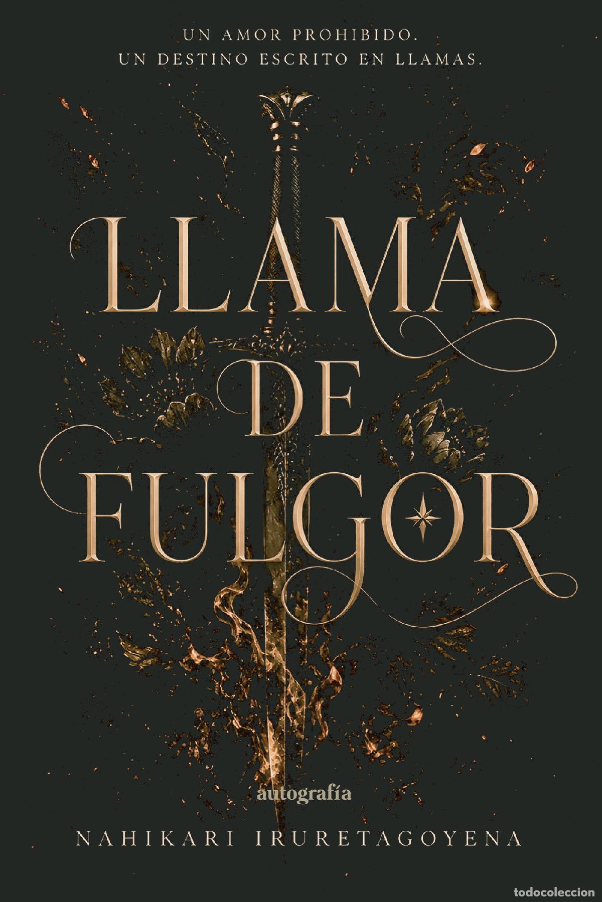 Libros: Llama de fulgor - Nahikari Iruretagoyena - Foto 1