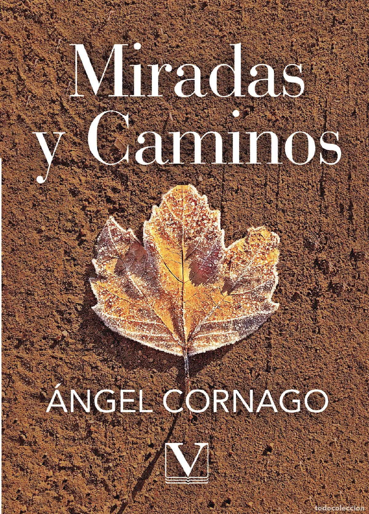 Libros: Miradas y caminos - &Aacute;ngel Cornago - Foto 1