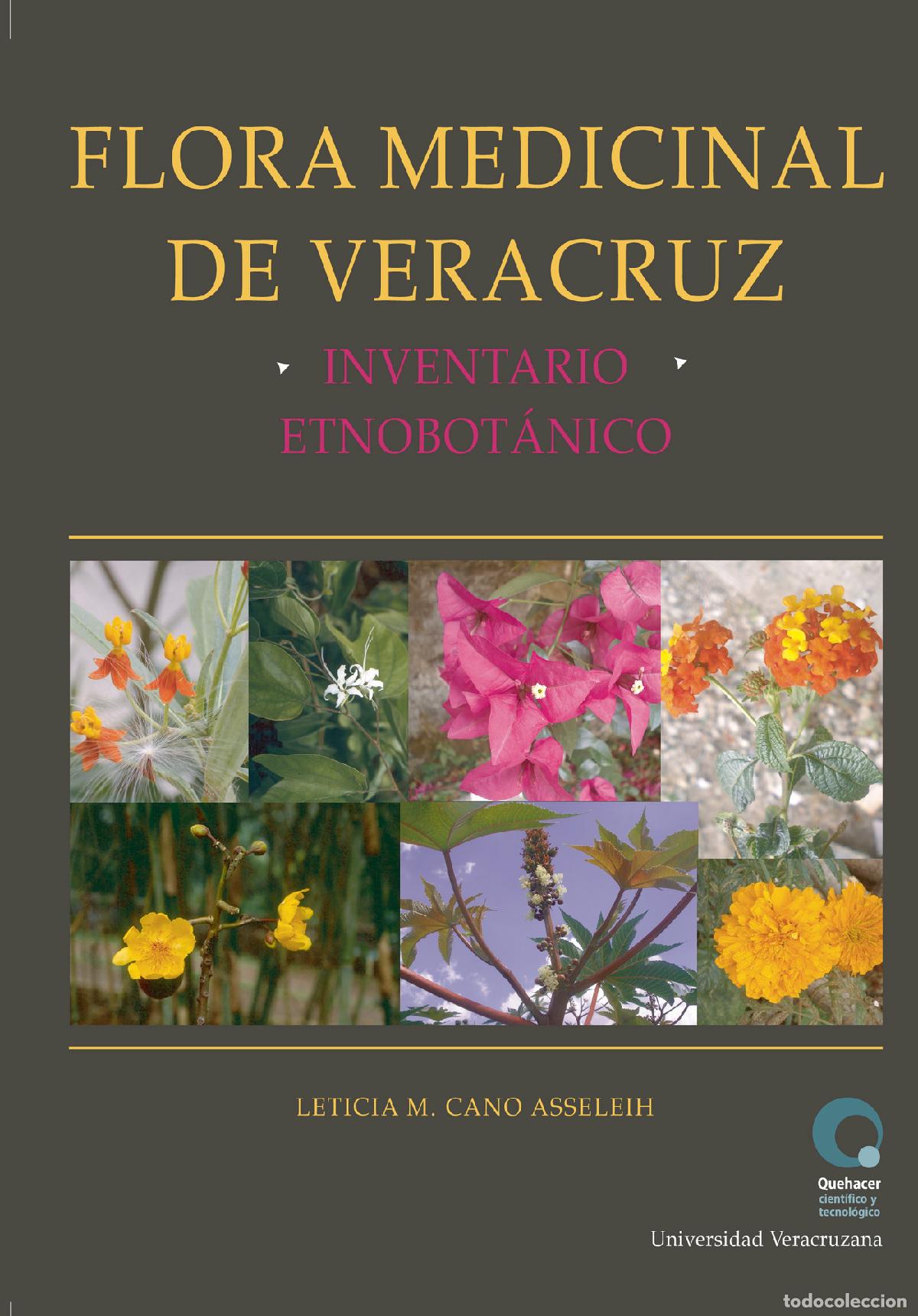 Libros: Flora medicinal de Veracruz : inventario etnobot&aacute;nico - Leticia M. Cano Asseleih