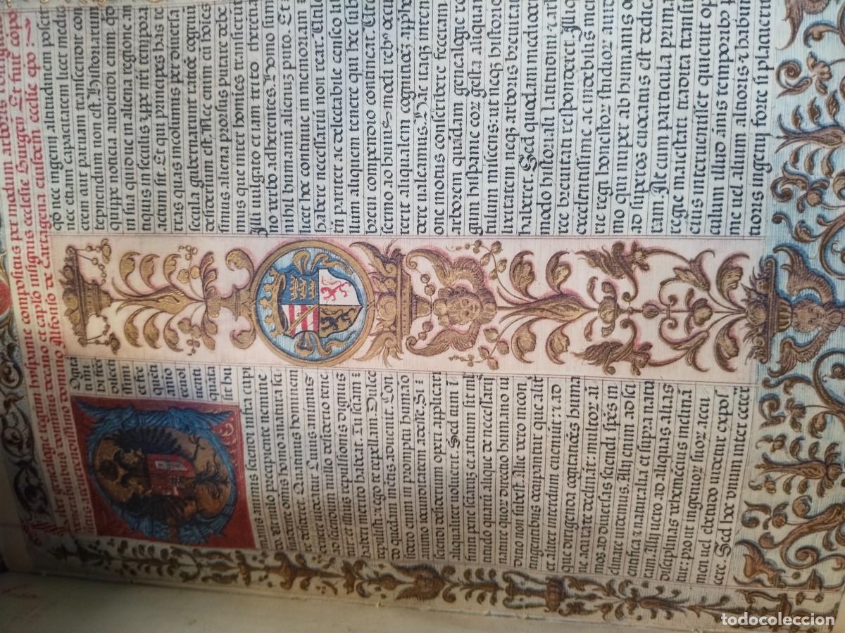 Libros: Facs&iacute;mil en pergamino generalogi regum hispania - Foto 3