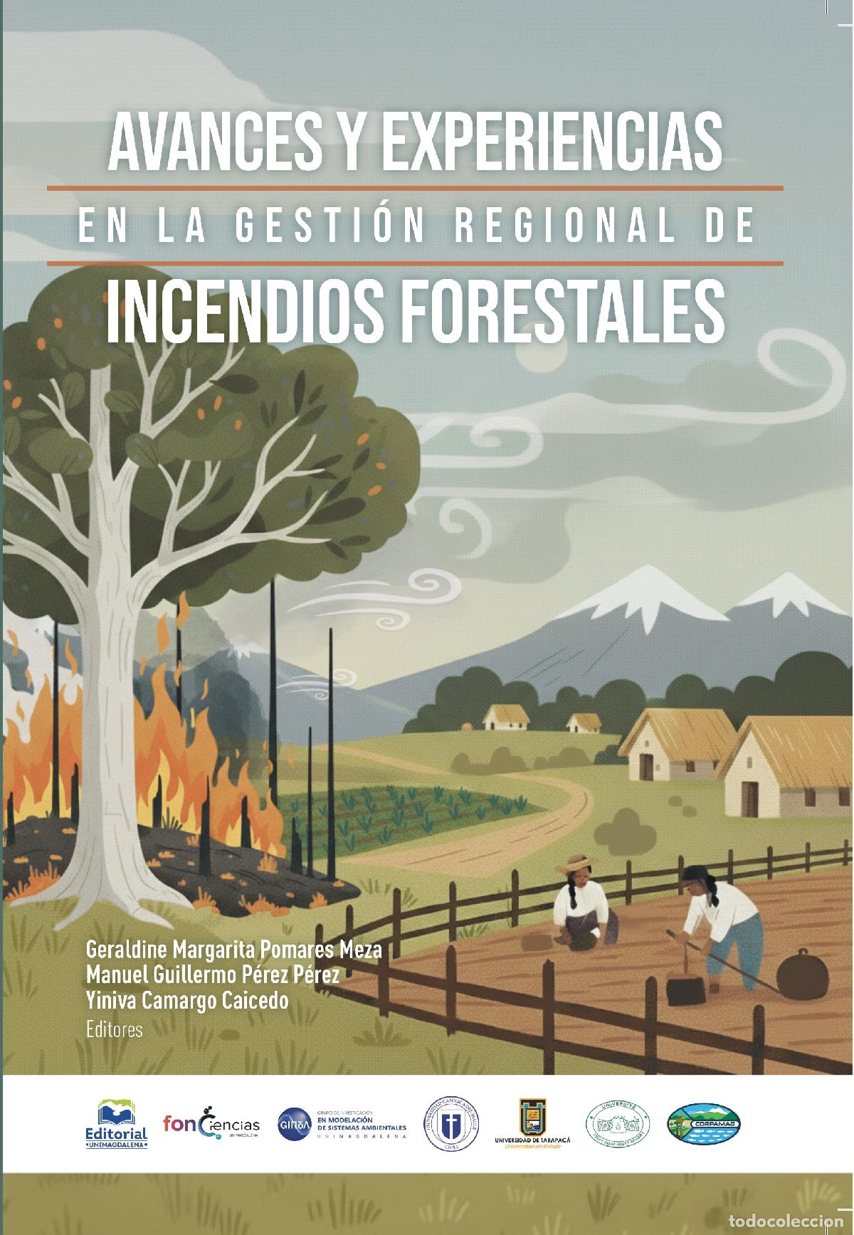 Livres: Avances y experiencias en la gesti&oacute;n regional de incendios forestales - Geraldine Margarita Pomares