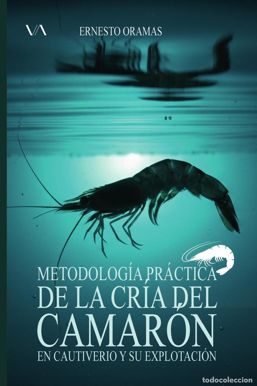 B&uuml;cher: Metodolog&iacute;a pr&aacute;ctica de la cr&iacute;a del camar&oacute;n en cautiverio y su explotaci&oacute;n - Ernesto Oramas