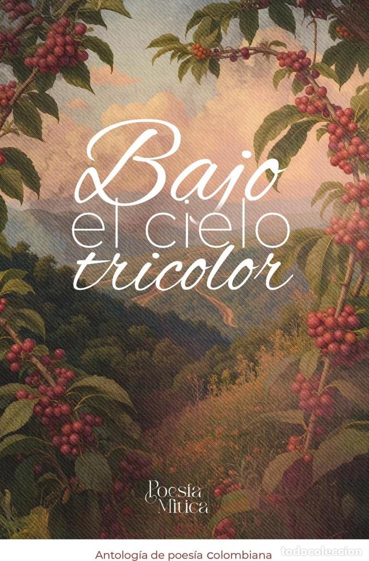 books: Bajo el cielo tricolor - Editorial M&iacute;tico S.A.S.