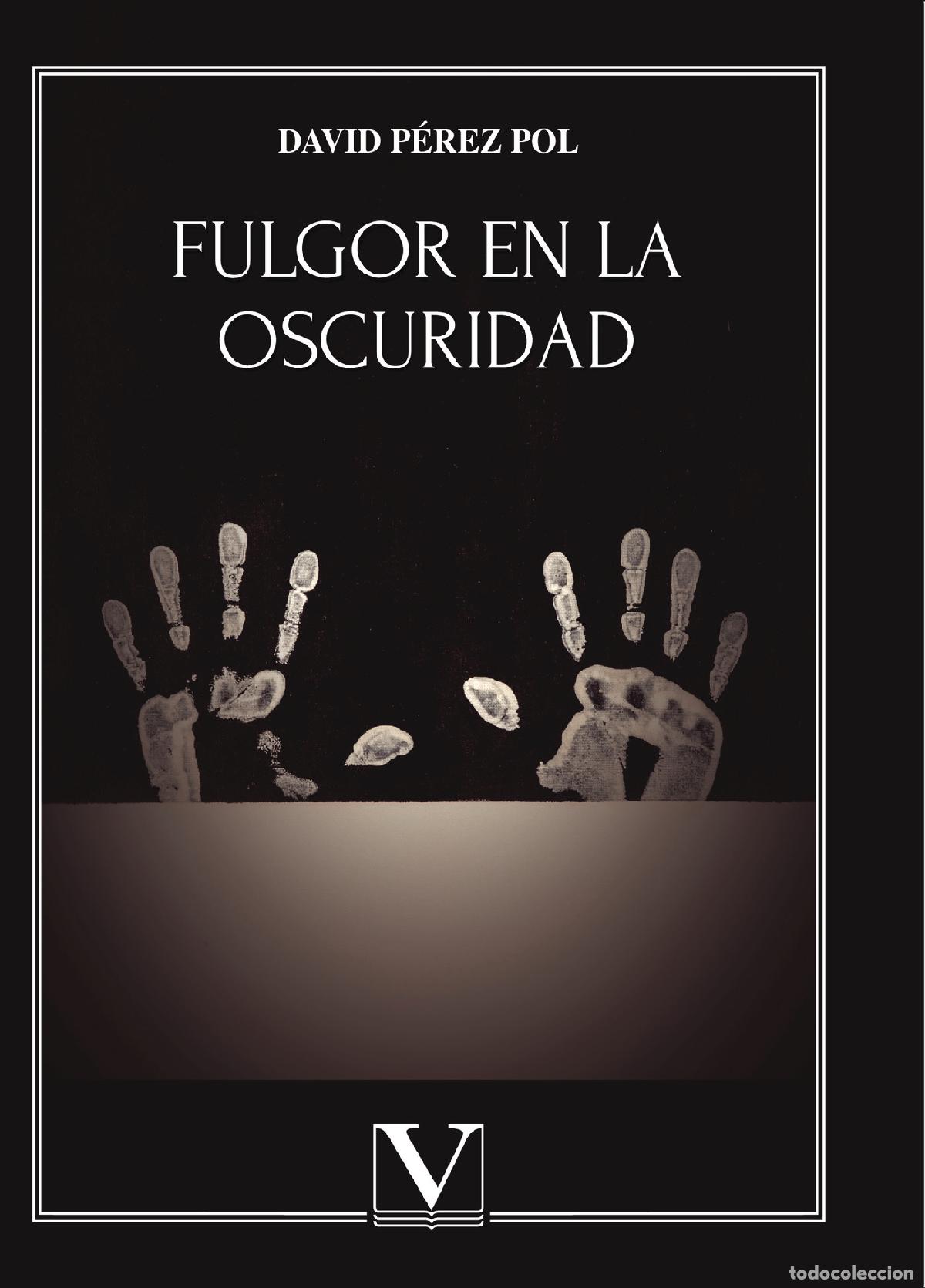 Libros: Fulgor en la oscuridad - David P&eacute;rez Pol - Foto 1