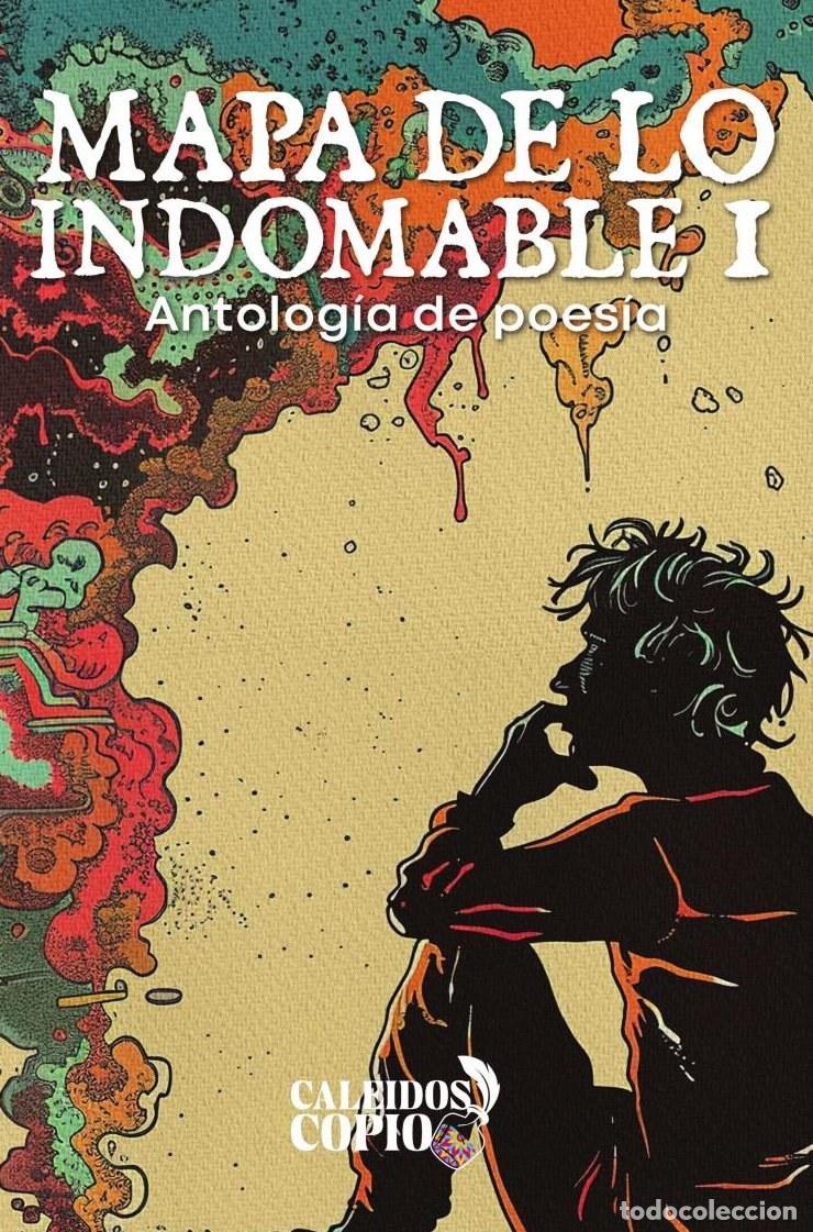 Livres: Mapa de lo indomable I - Syndy Vianey Islas Medrano