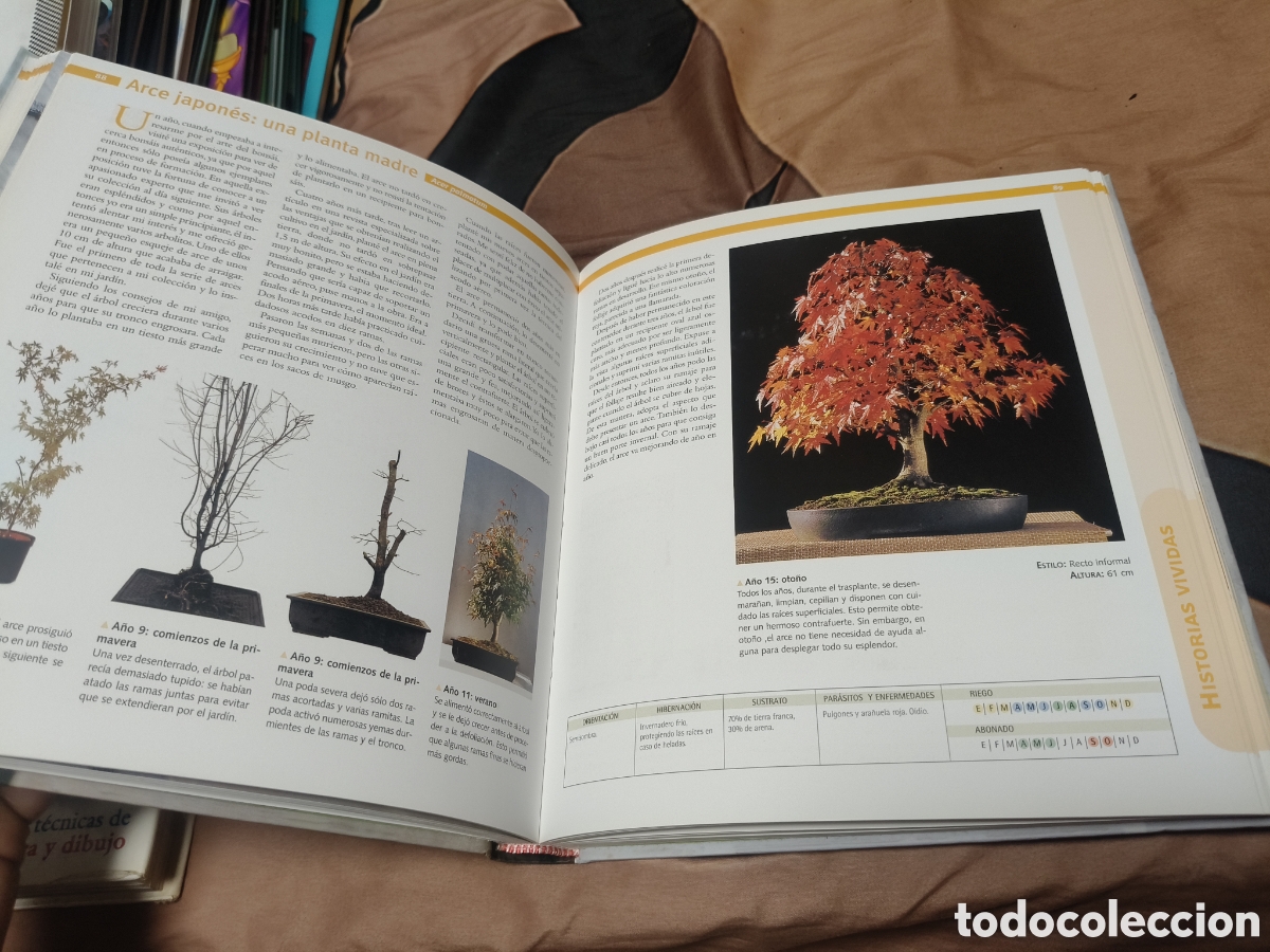 Libros: Jardiner&iacute;a creativa bons&aacute;is - Foto 4