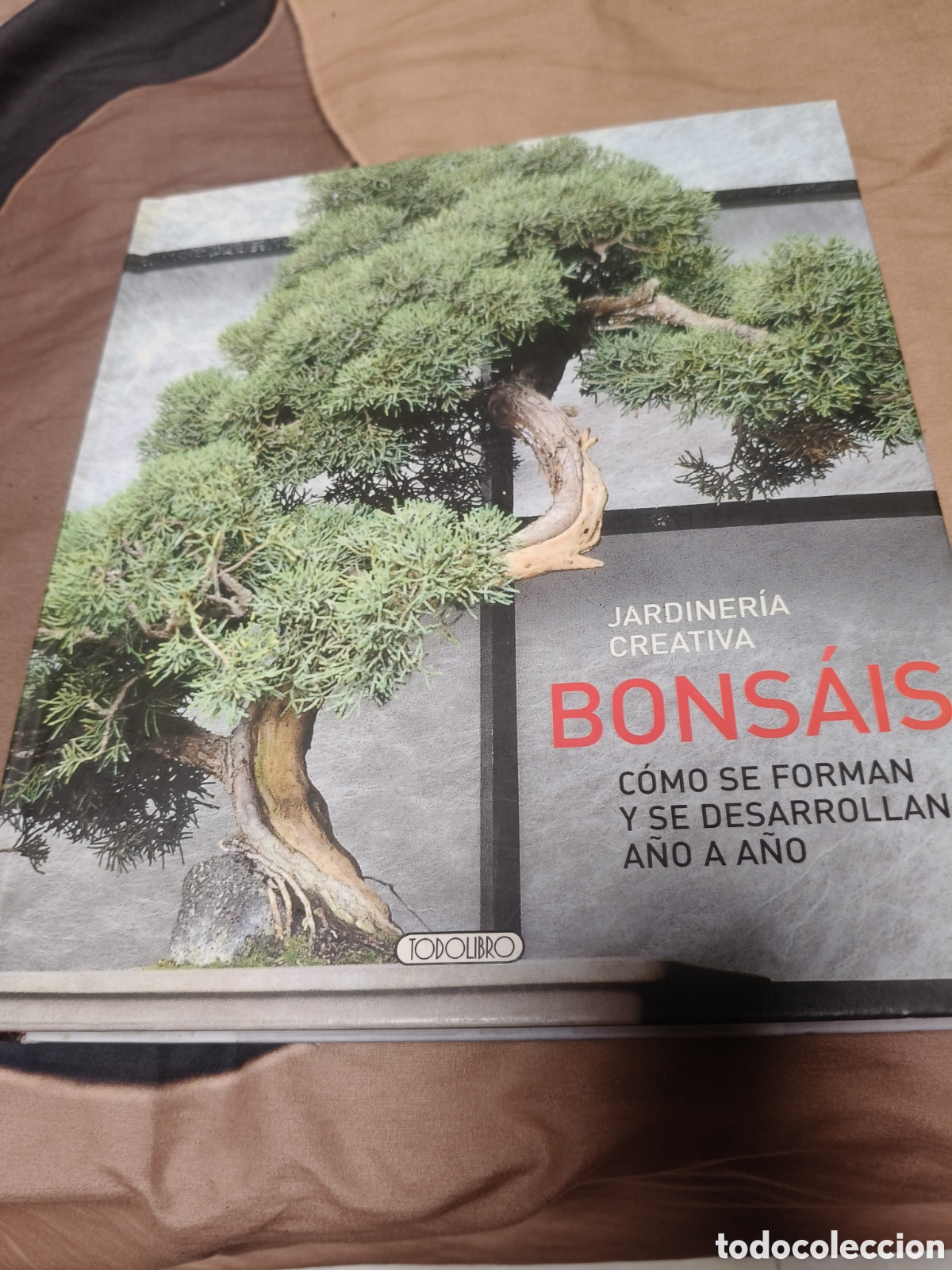 Libros: Jardiner&iacute;a creativa bons&aacute;is