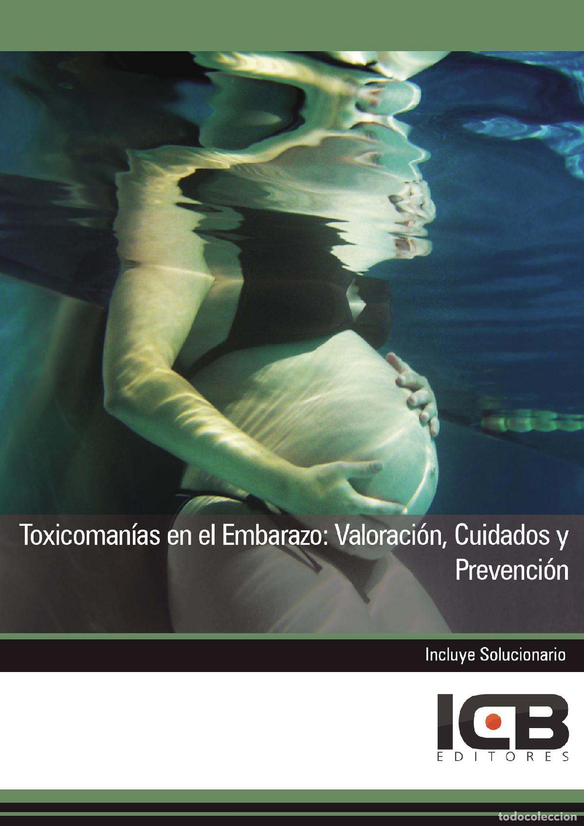 B&uuml;cher: Toxicoman&iacute;as en el Embarazo: Valoraci&oacute;n, Cuidados y Prevenci&oacute;n - Juan Mart&iacute;n-Romo Mej&iacute;as